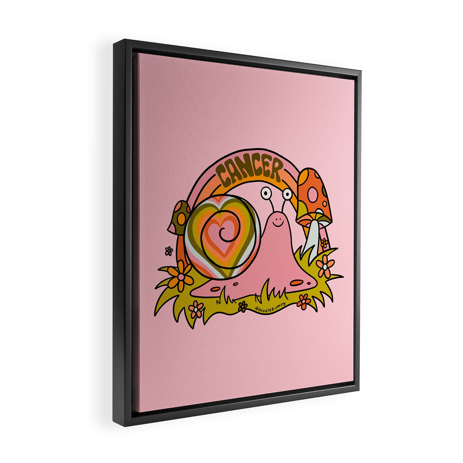 Cancer Snail Framed Canvas Print Gallery Image 2