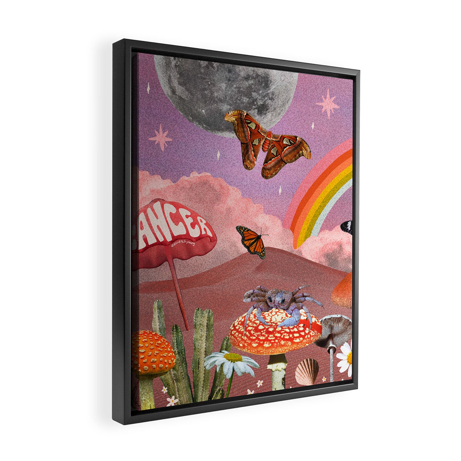 Cancer Zodiac Collage Framed Canvas Print Gallery Image 2
