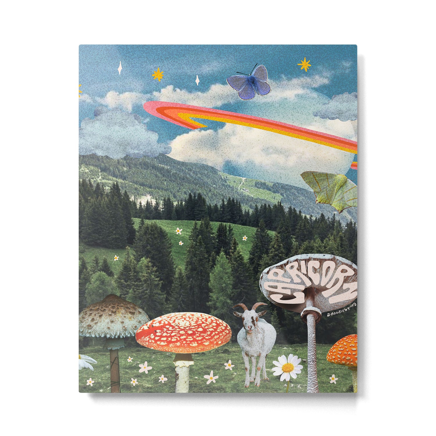 Capricorn Collage Metal Print Gallery Image 6