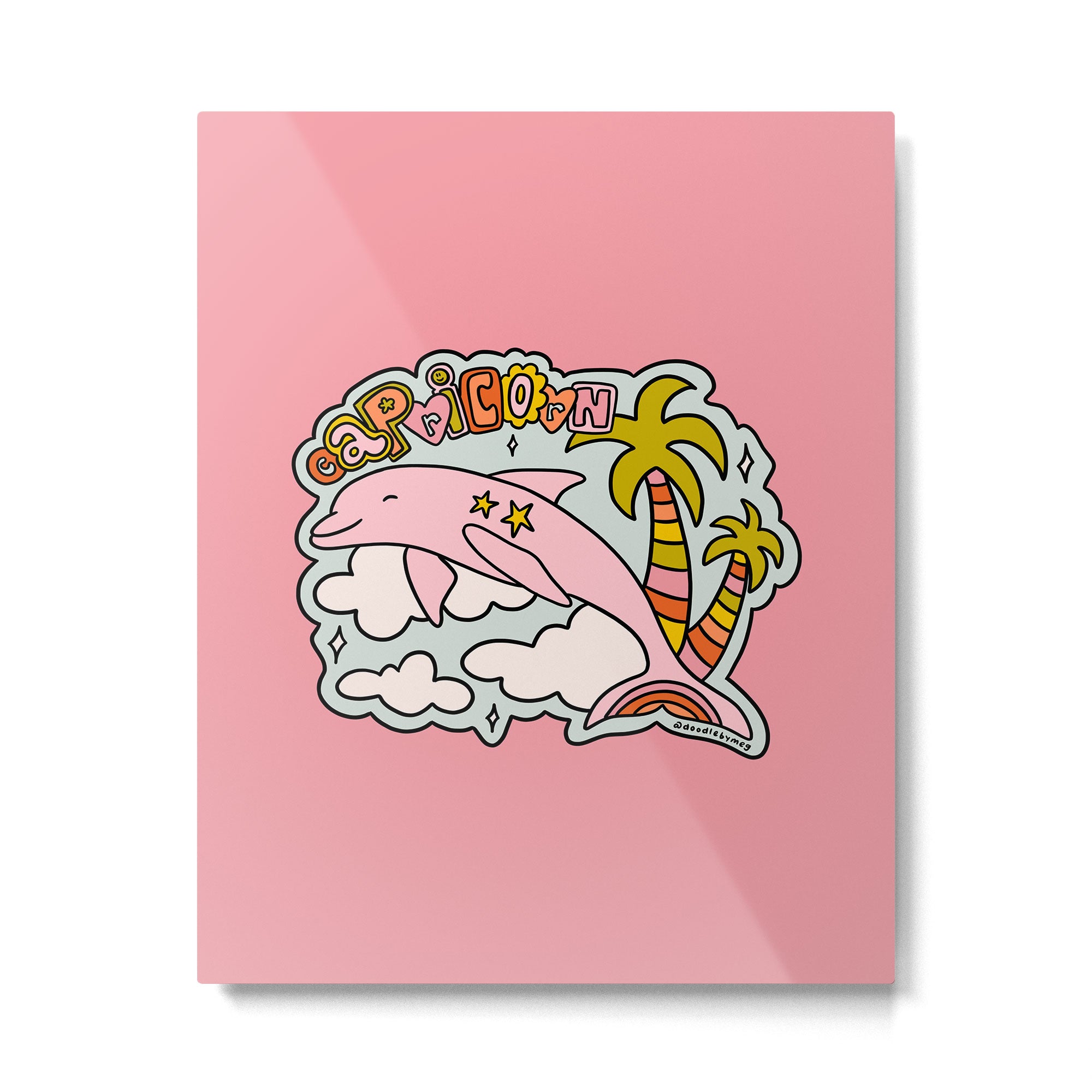 Capricorn Dolphin  Metal Print Gallery Image 6