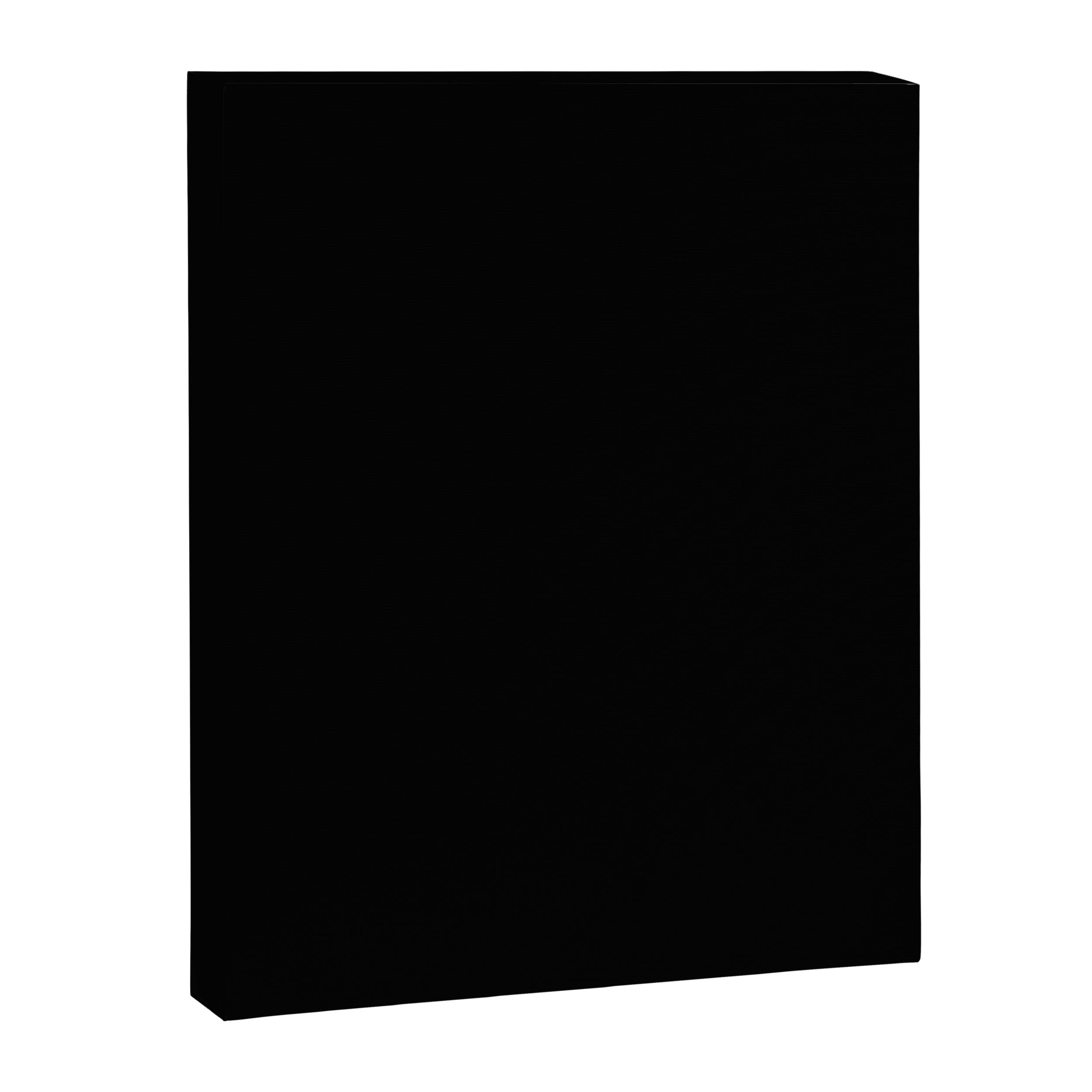 Everyone Deserves Rights Canvas Print Gallery Image 8