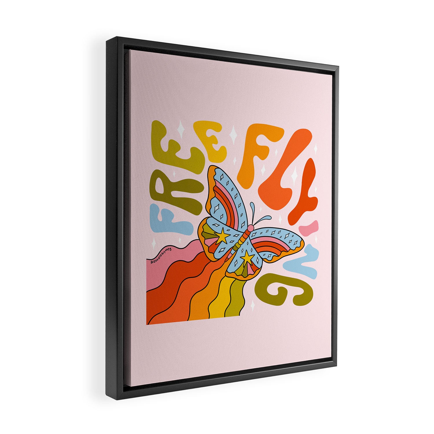 Free Flying Framed Canvas Print Gallery Image 2