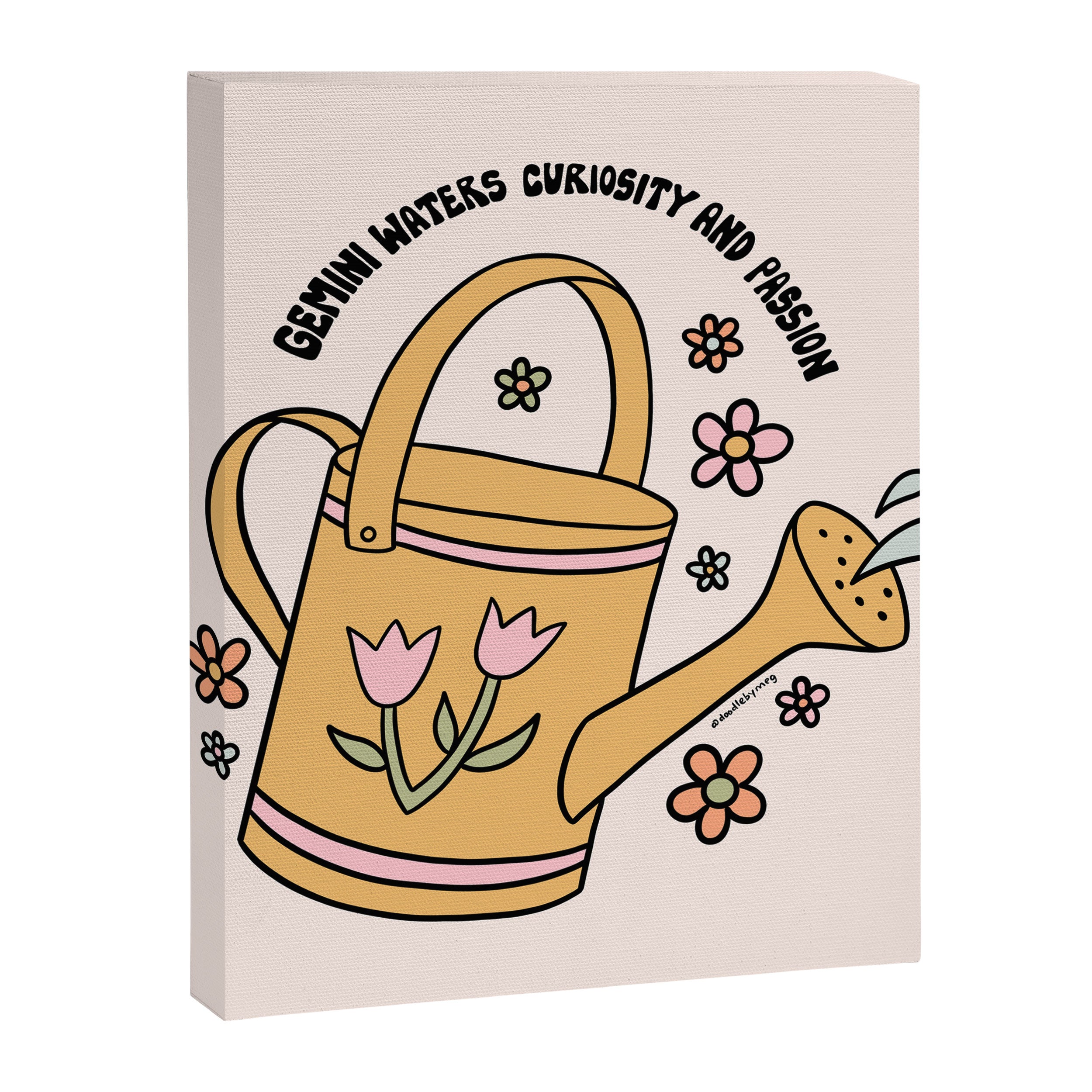Gemini Watering Can Canvas Print Gallery Image 8