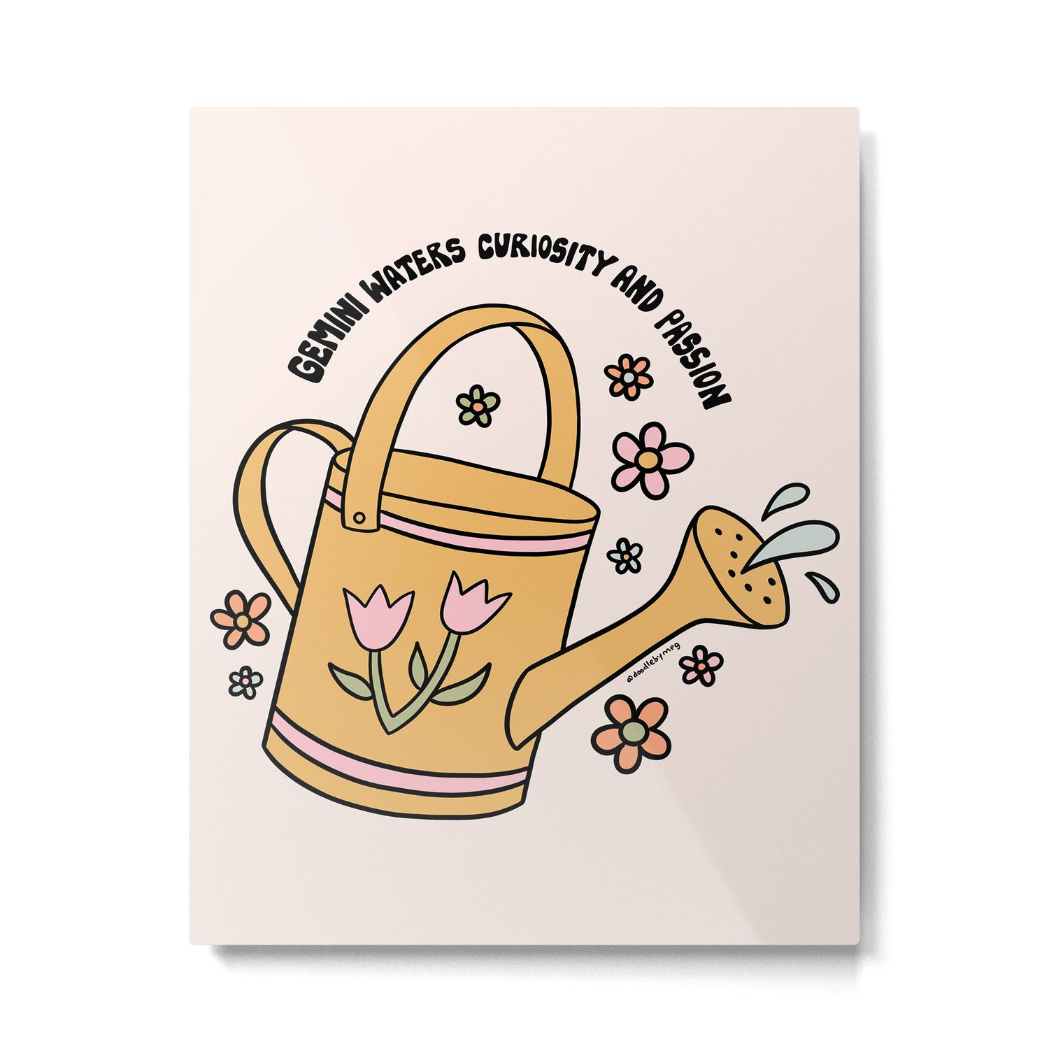 Gemini Watering Can Metal Print Gallery Image 6