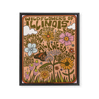 Illinois Wildflowers Framed Canvas Print Gallery Image 8
