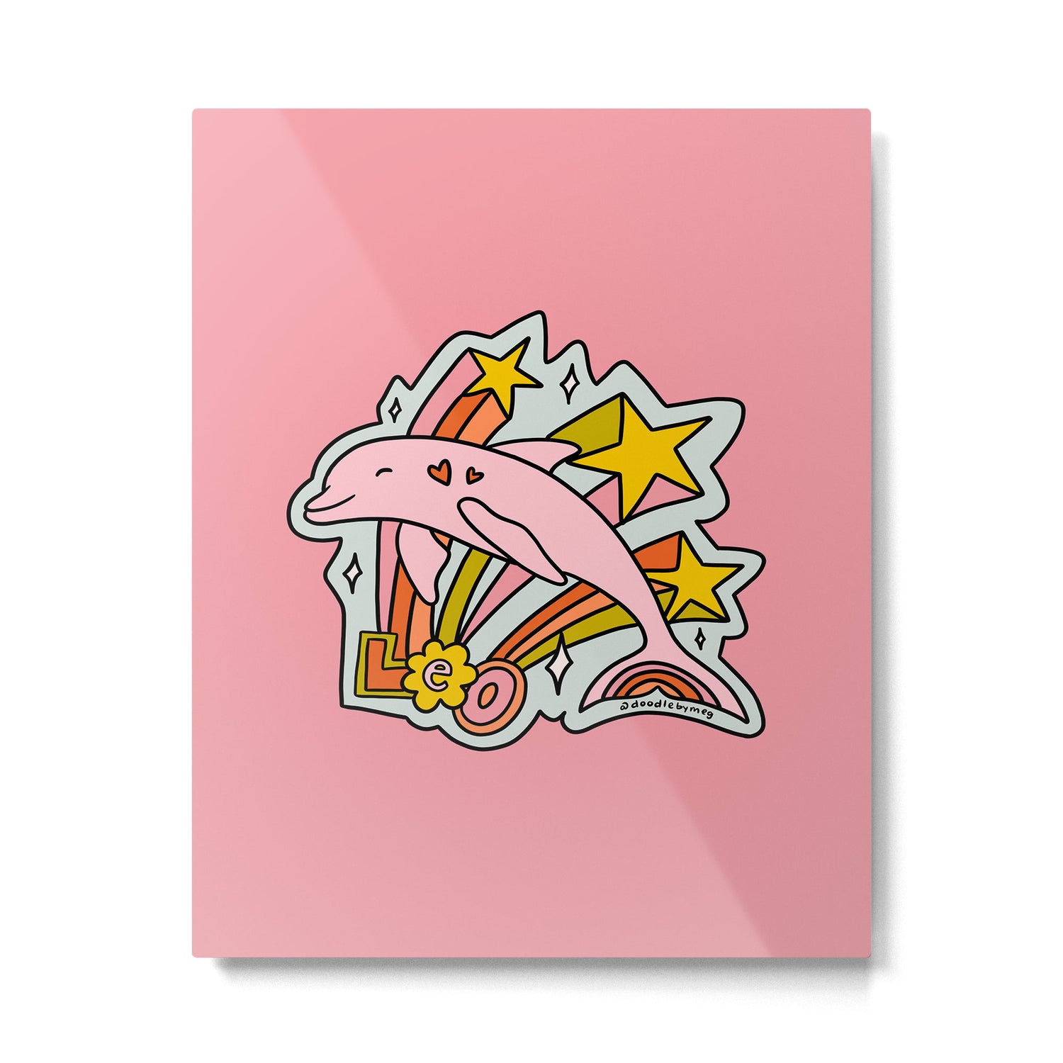Leo Dolphin Metal Print Gallery Image 6