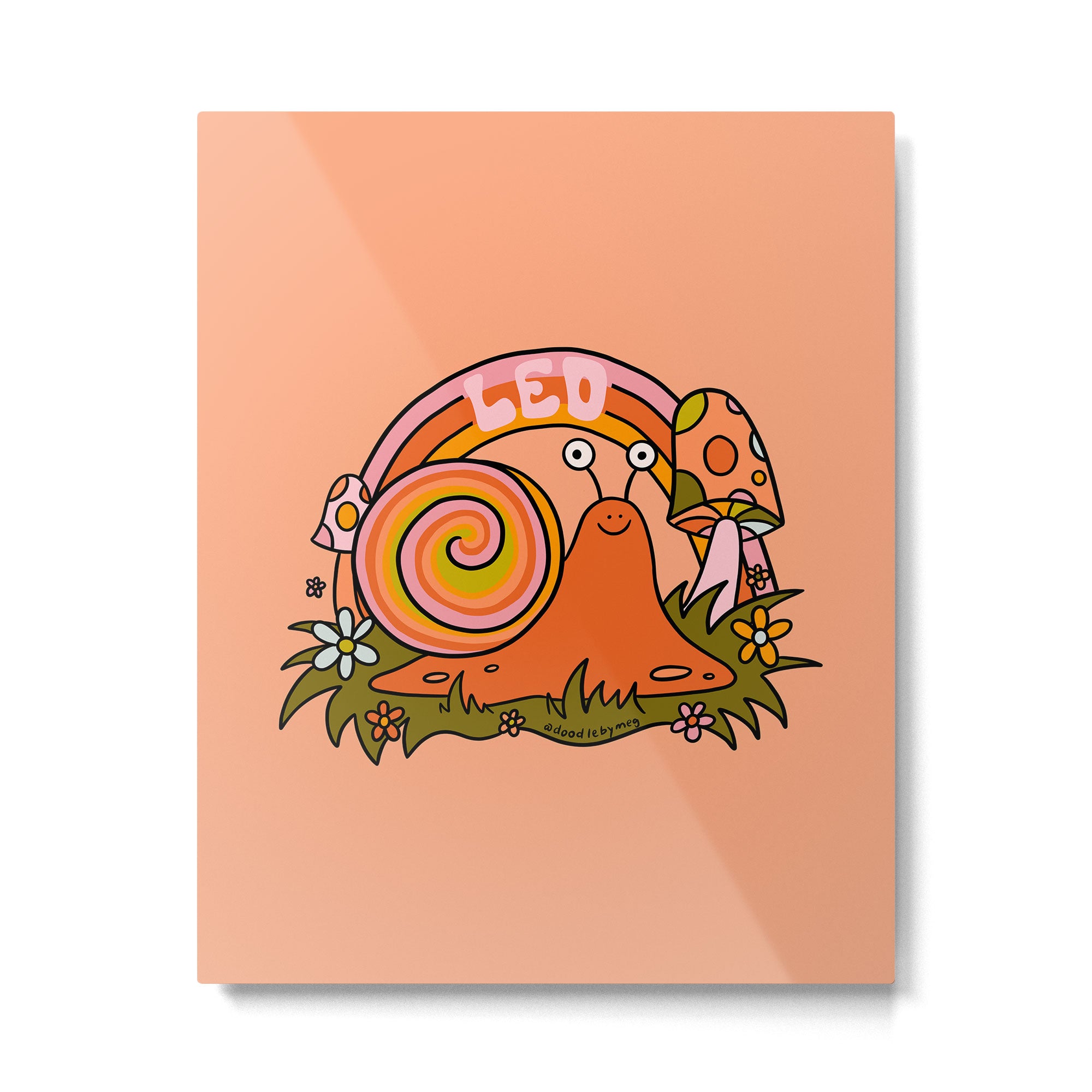 Leo Snail Metal Print Gallery Image 6