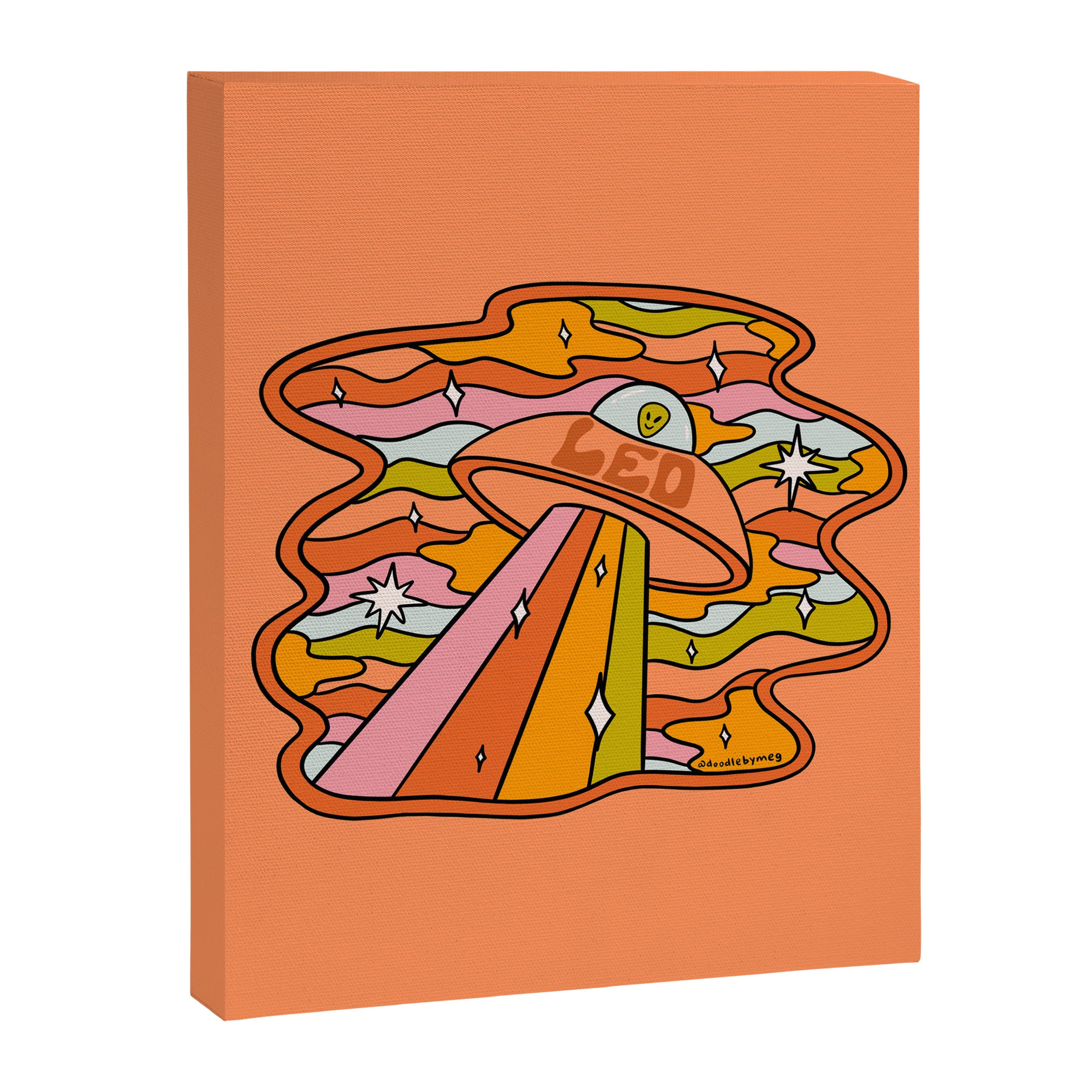 Leo UFO Canvas Print Gallery Image 8