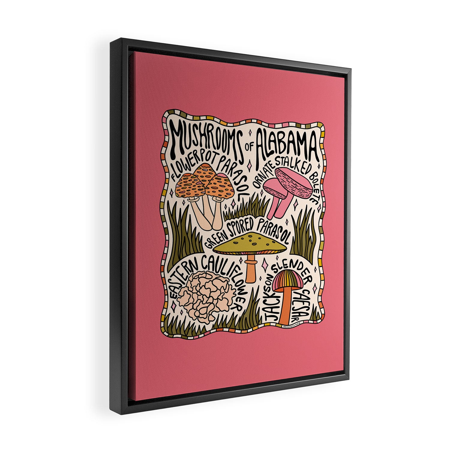 Mushrooms of Alabama Framed Canvas Print Gallery Image 2