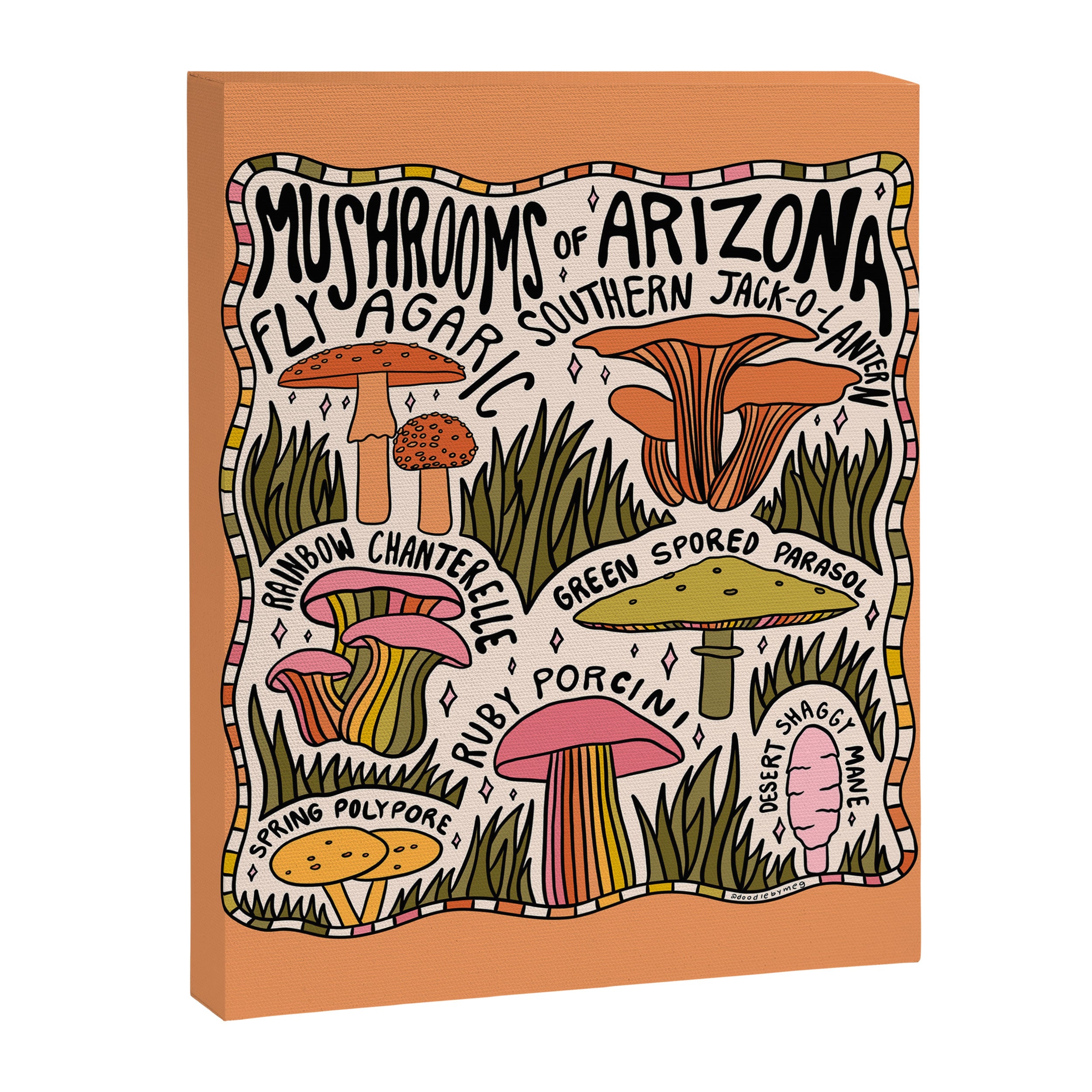 Mushrooms of Arizona Canvas Print Gallery Image 8
