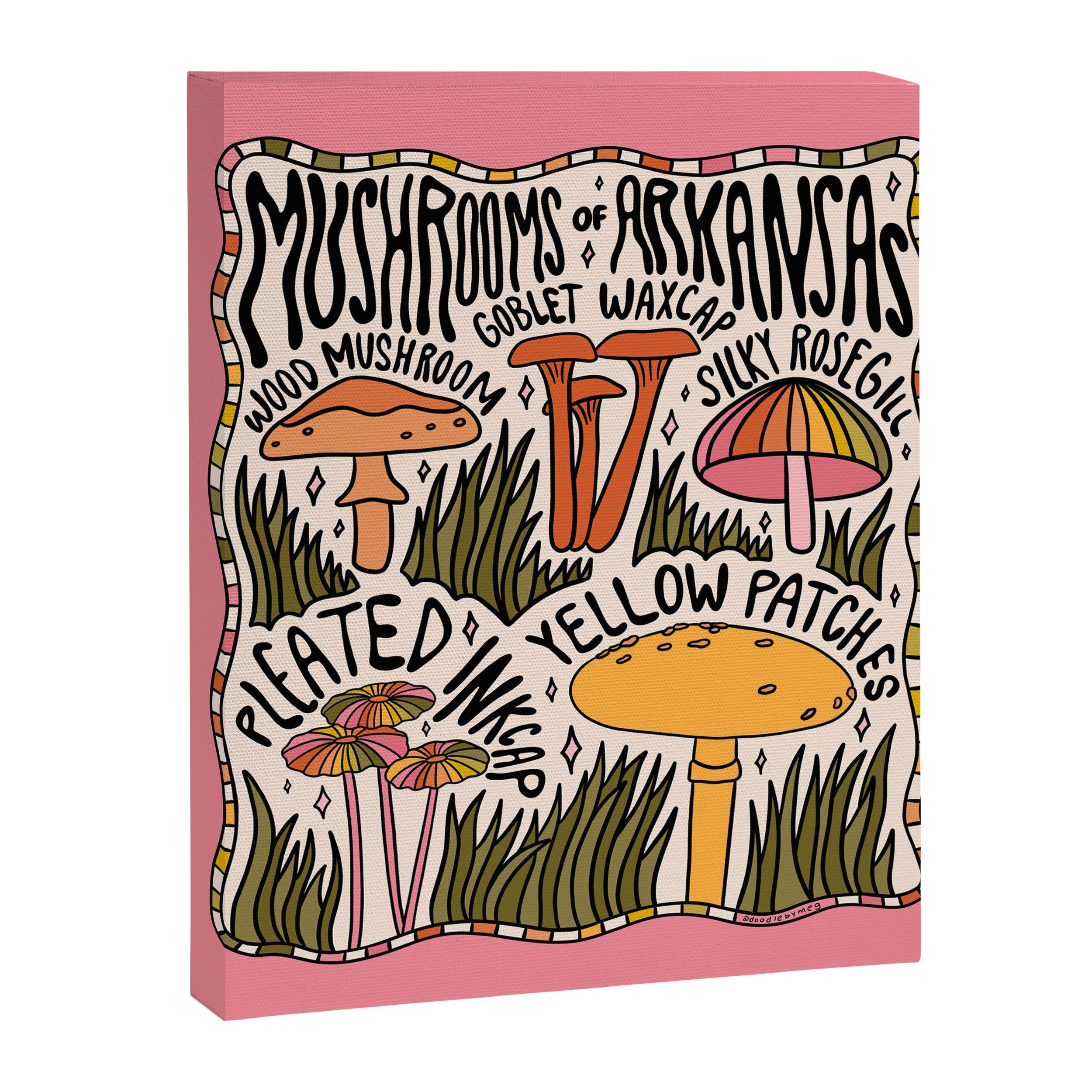 Mushrooms of Arkansas Canvas Print Gallery Image 8