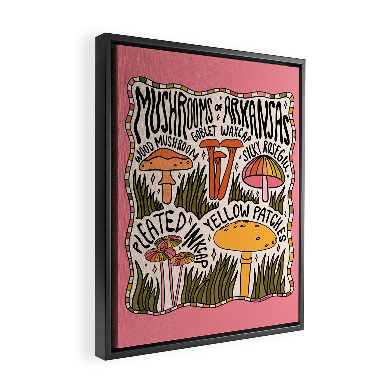 Mushrooms of Arkansas Framed Canvas Print Gallery Image 2