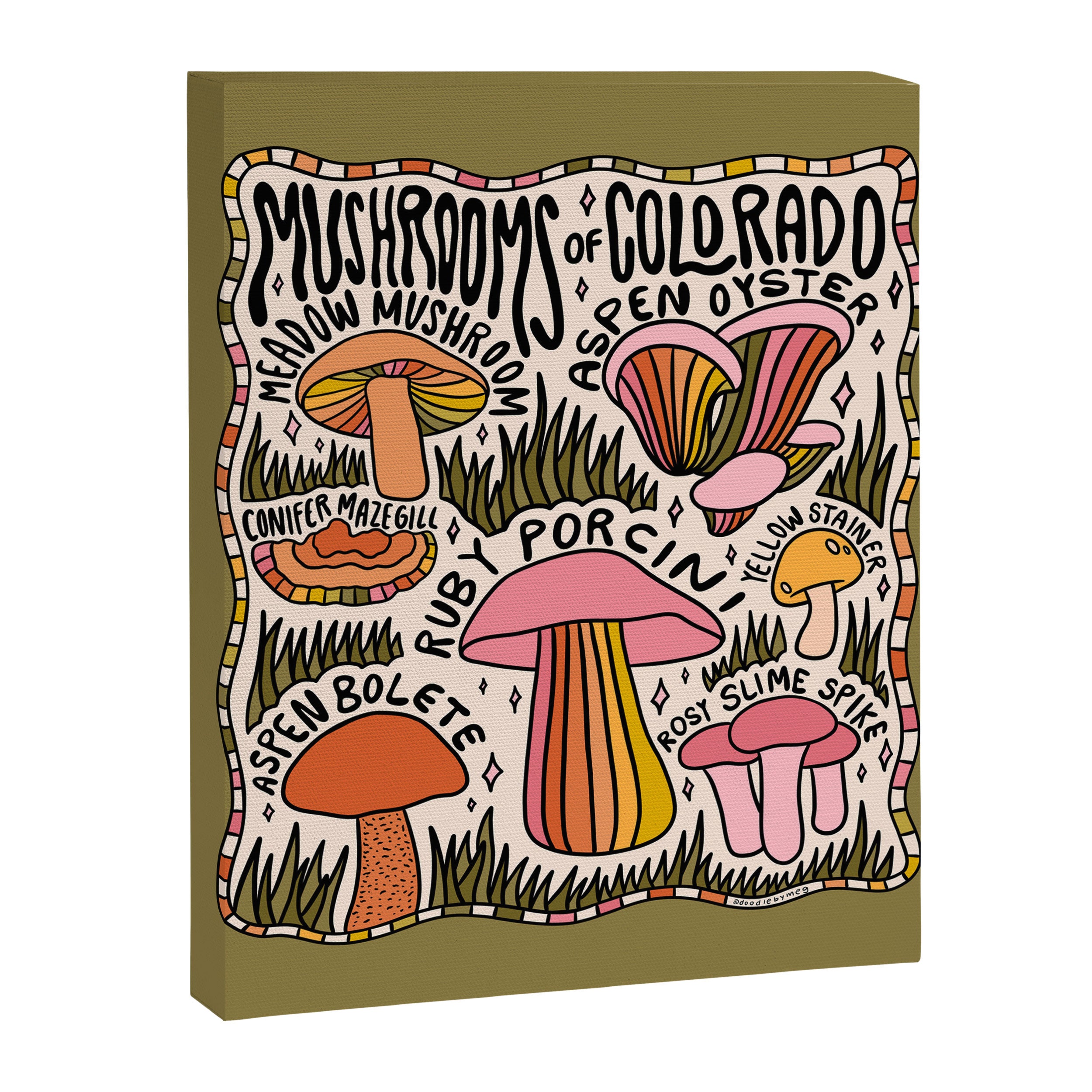 Mushrooms of Colorado Canvas Print Gallery Image 8