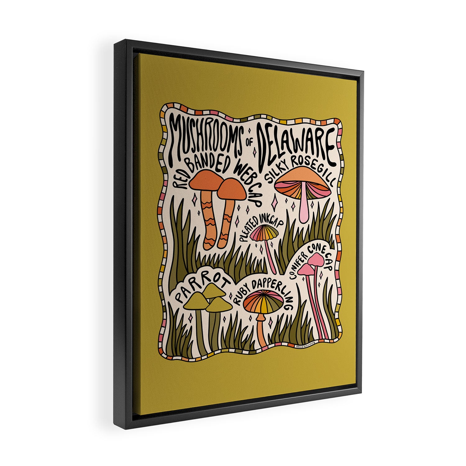 Mushrooms of Delaware Framed Canvas Print Gallery Image 2