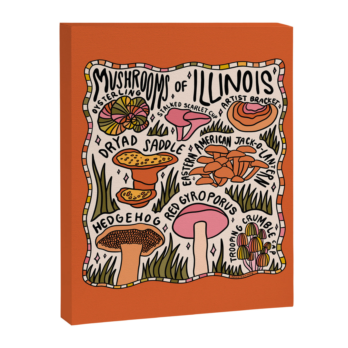 Mushrooms of Illinois Canvas Print Gallery Image 8