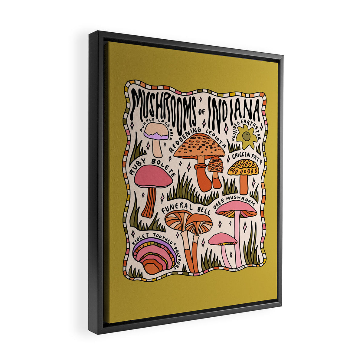 Mushrooms of Indiana Framed Canvas Print Gallery Image 2