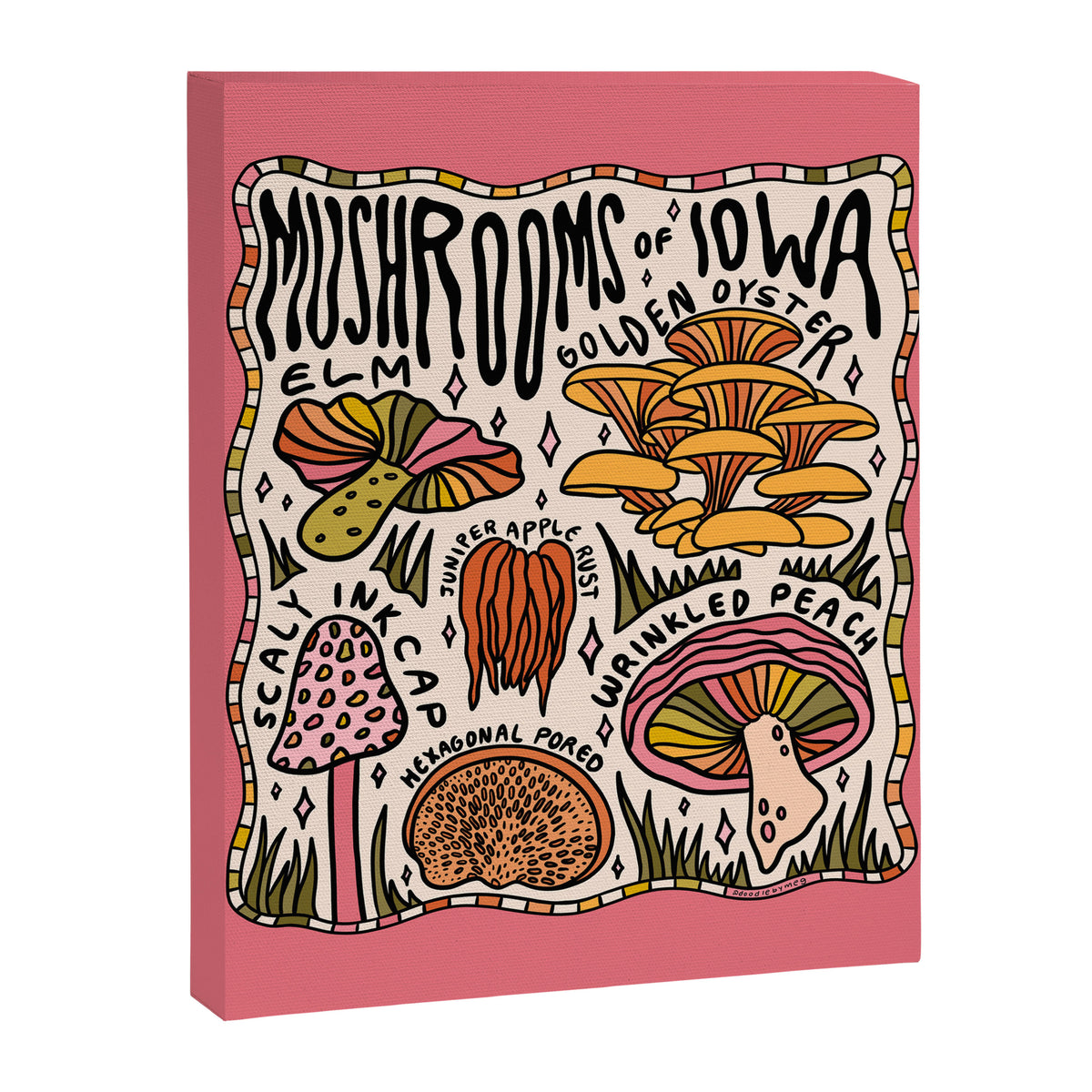 Mushrooms of Iowa Canvas Print Gallery Image 8