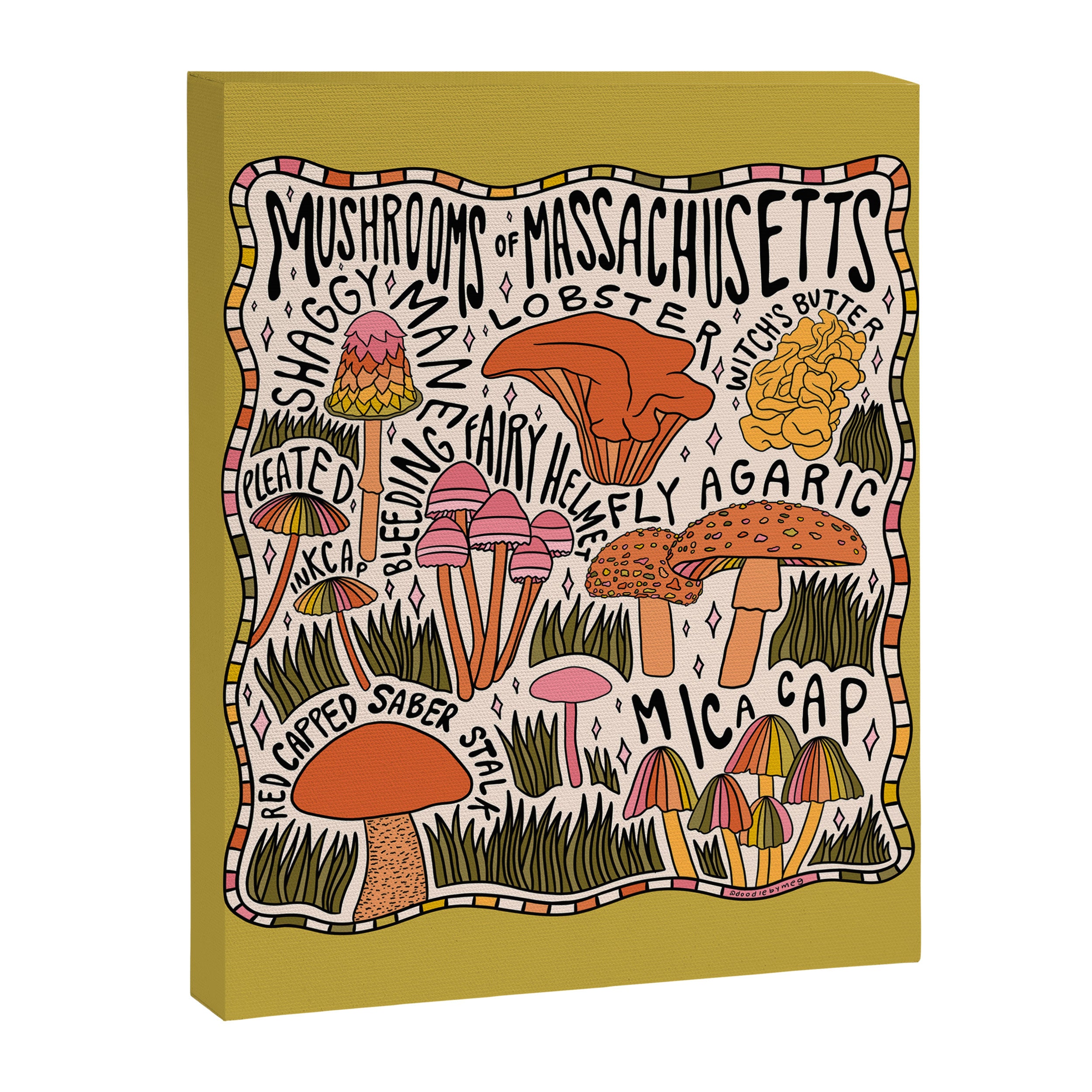 Mushrooms of Massachusetts Canvas Print Gallery Image 8