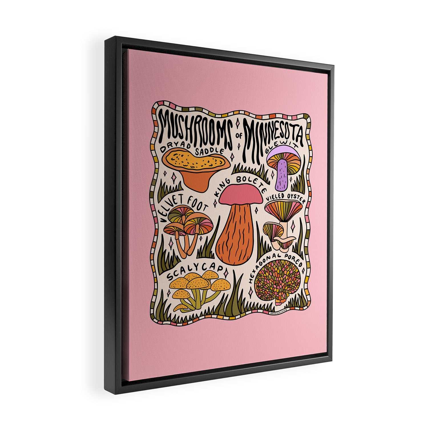 Mushrooms of Minnesota Framed Canvas Print Gallery Image 2