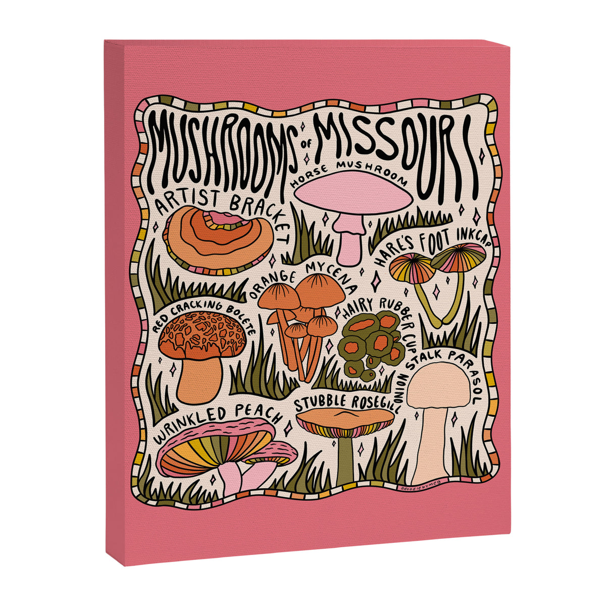 Mushrooms of Missouri Canvas Print Gallery Image 8