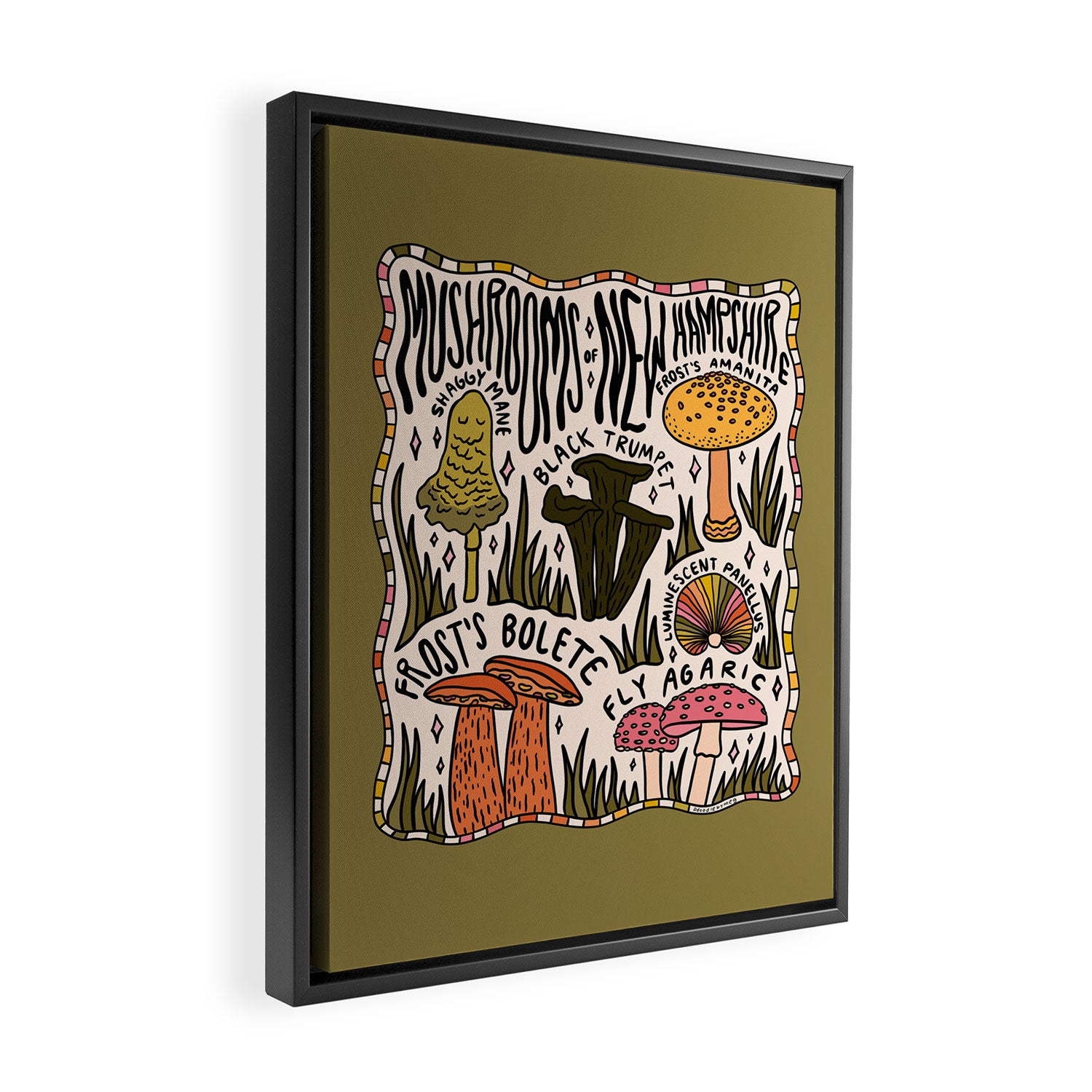 Mushrooms of New Hampshire Framed Canvas Print Gallery Image 2