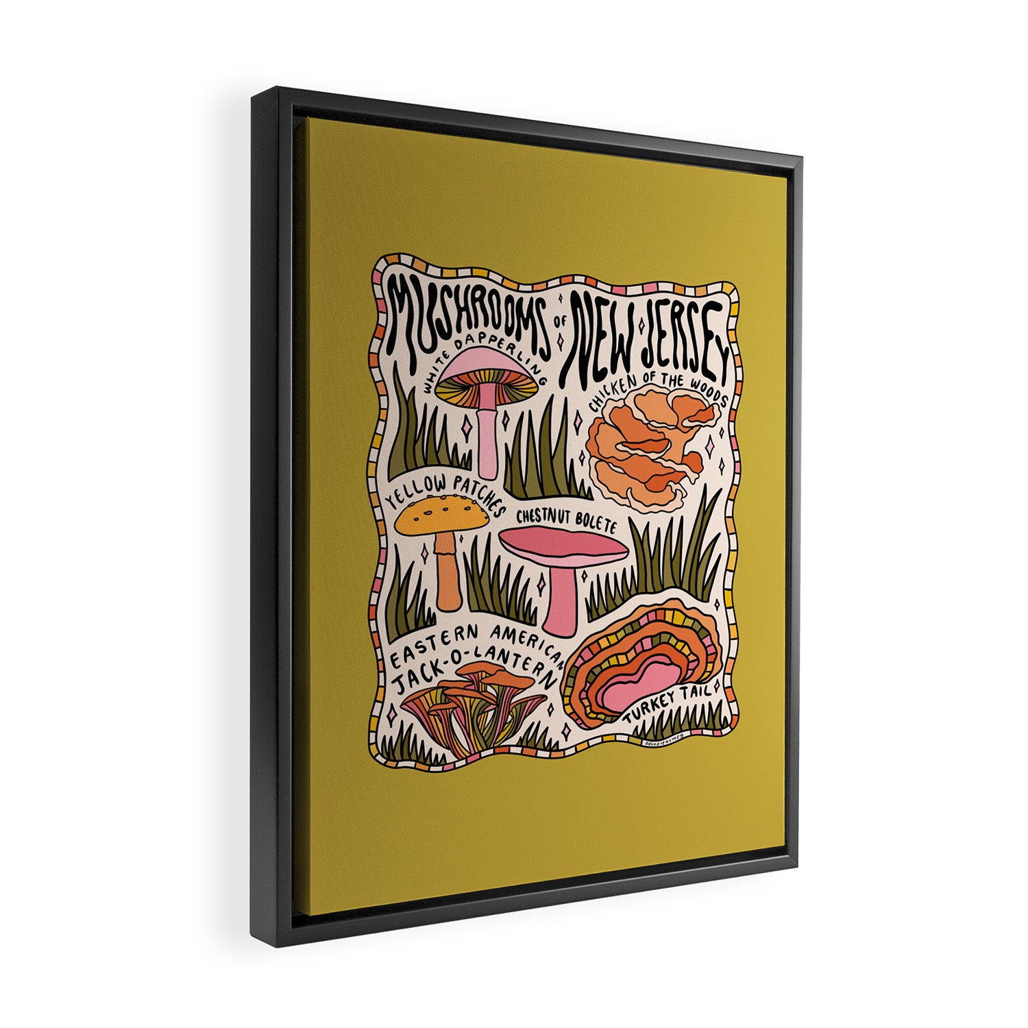 Mushrooms of New Jersey Framed Canvas Print Gallery Image 2