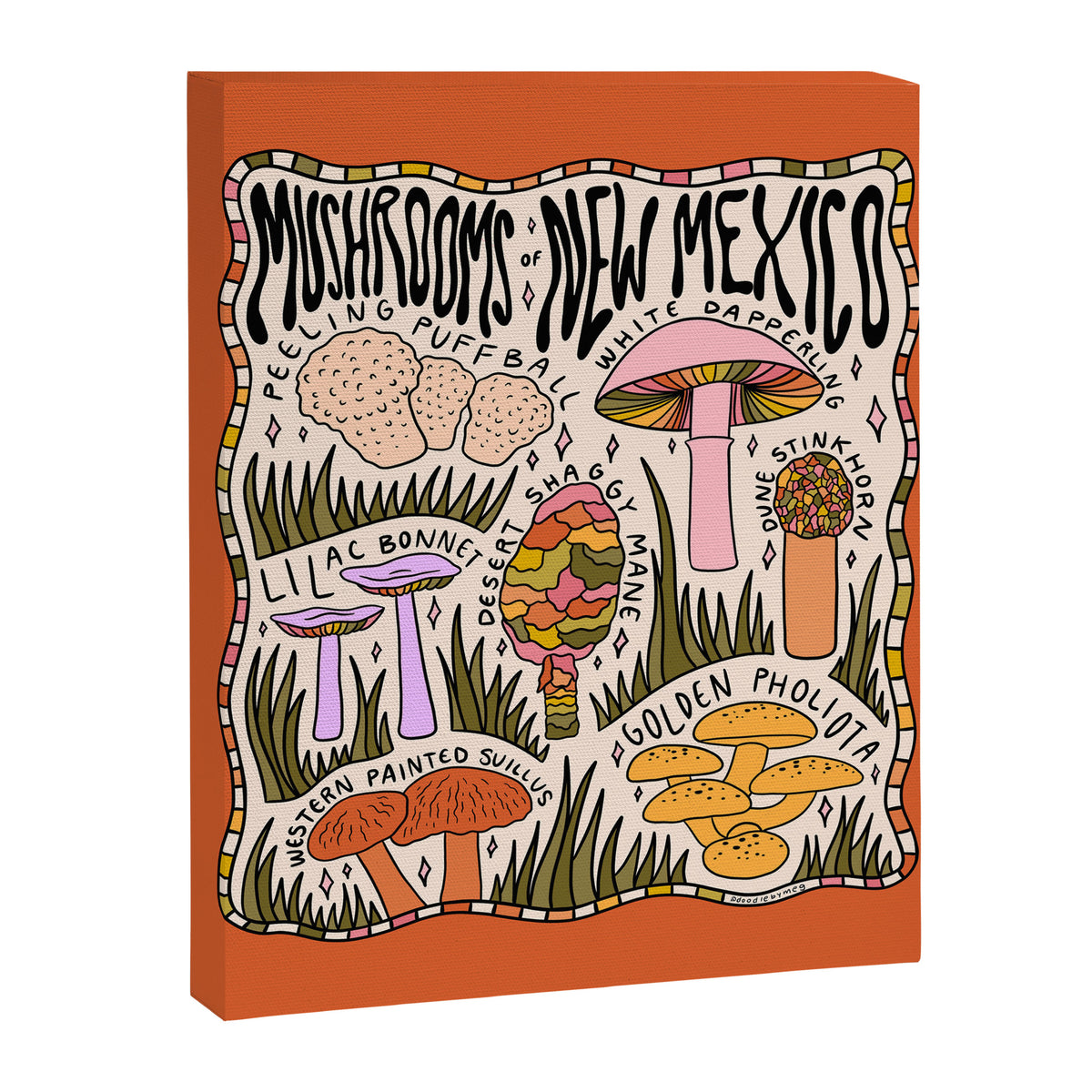 Mushrooms of New Mexico Canvas Print Gallery Image 8