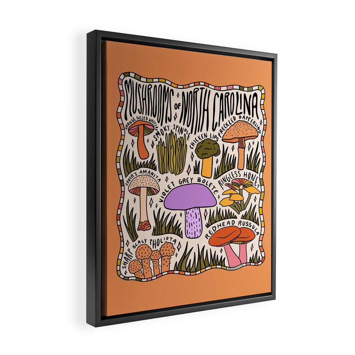 Mushrooms of North Carolina Framed Canvas Print Gallery Image 2