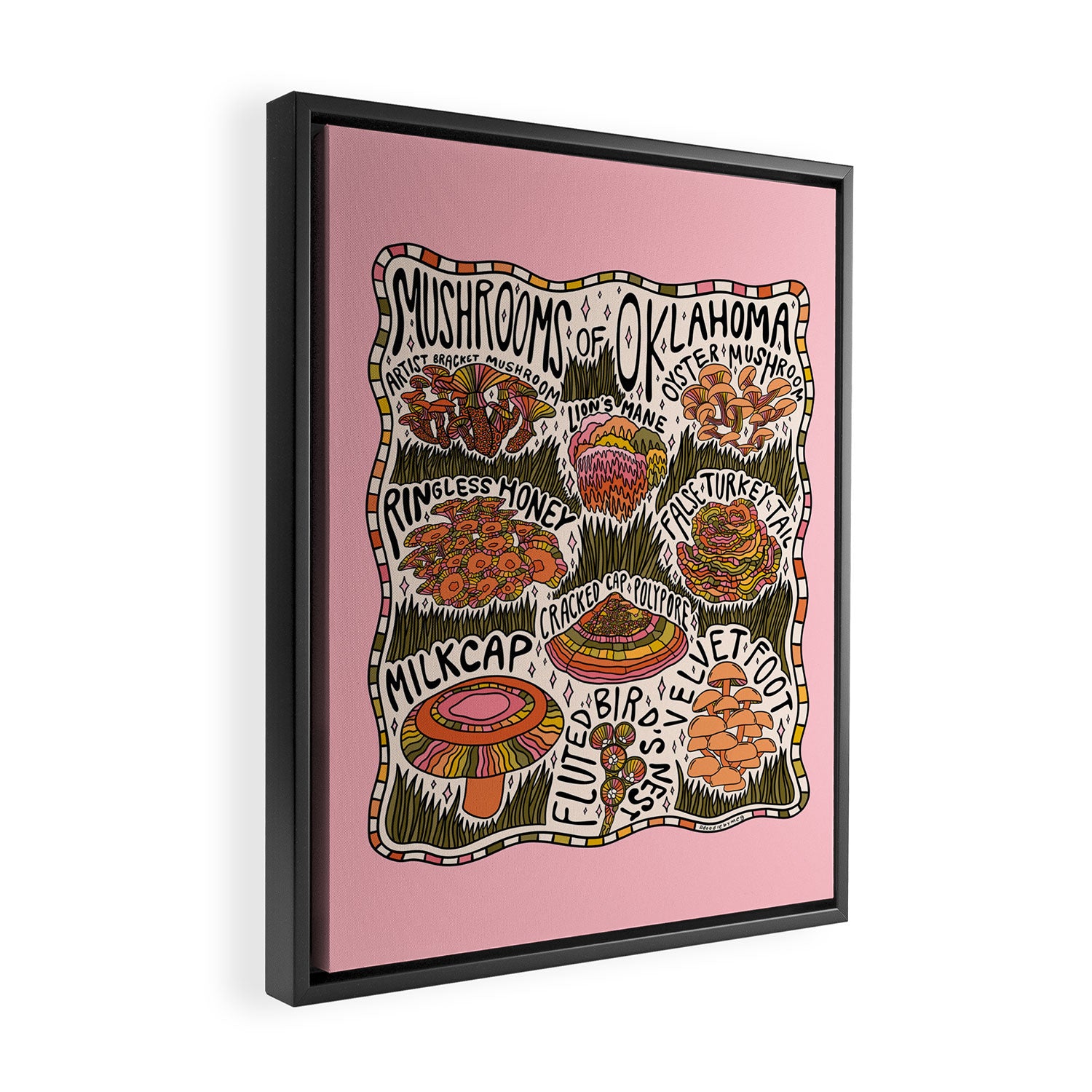 Mushrooms of Oklahoma Framed Canvas Print Gallery Image 2