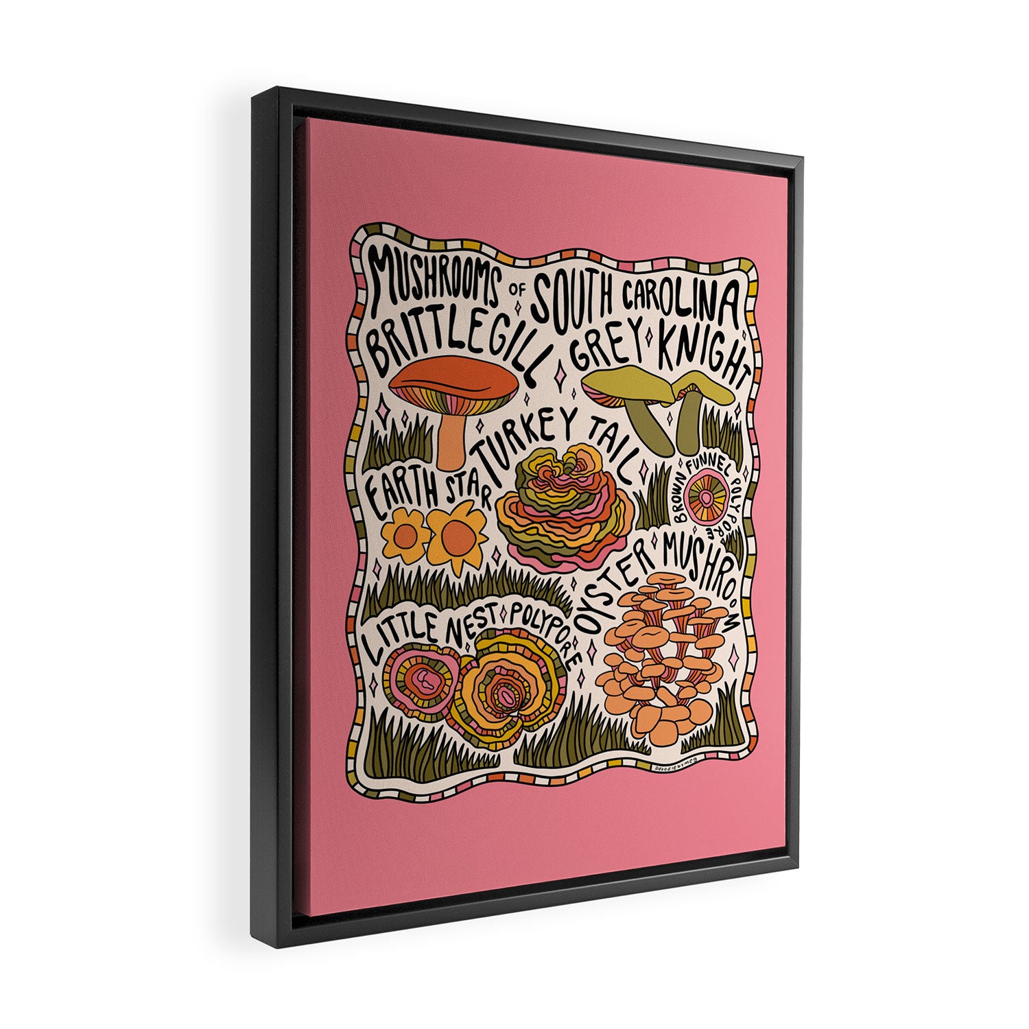 Mushrooms of South Carolina Framed Canvas Print Gallery Image 2