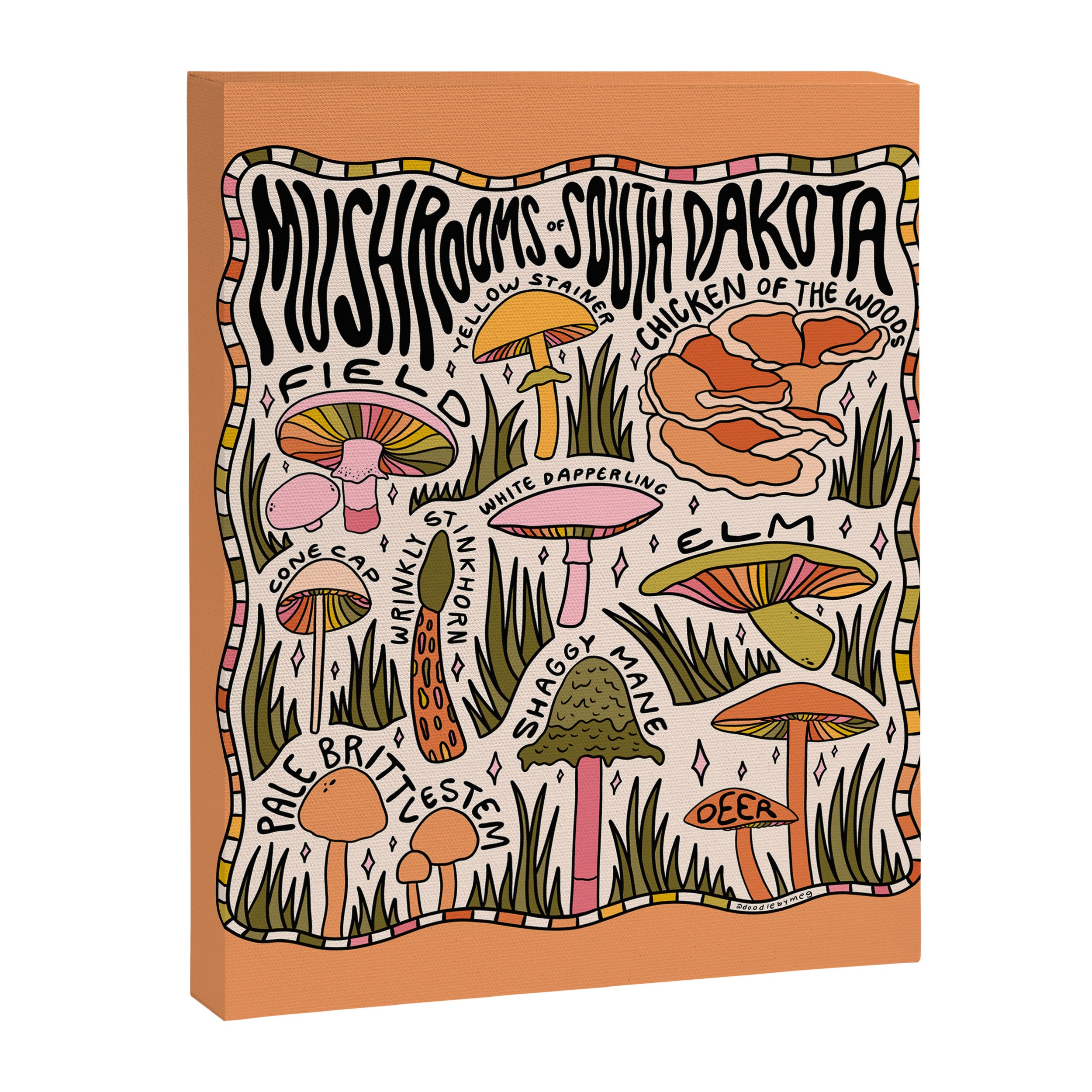 Mushrooms of South Dakota Canvas Print Gallery Image 8
