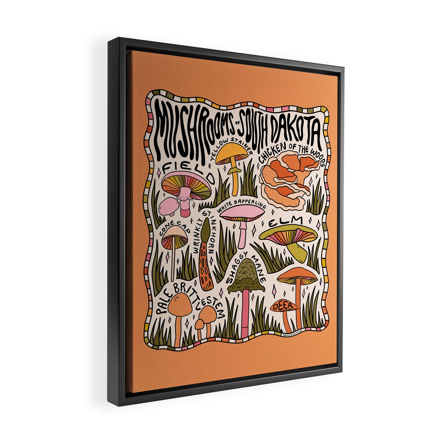 Mushrooms of South Dakota Framed Canvas Print Gallery Image 2