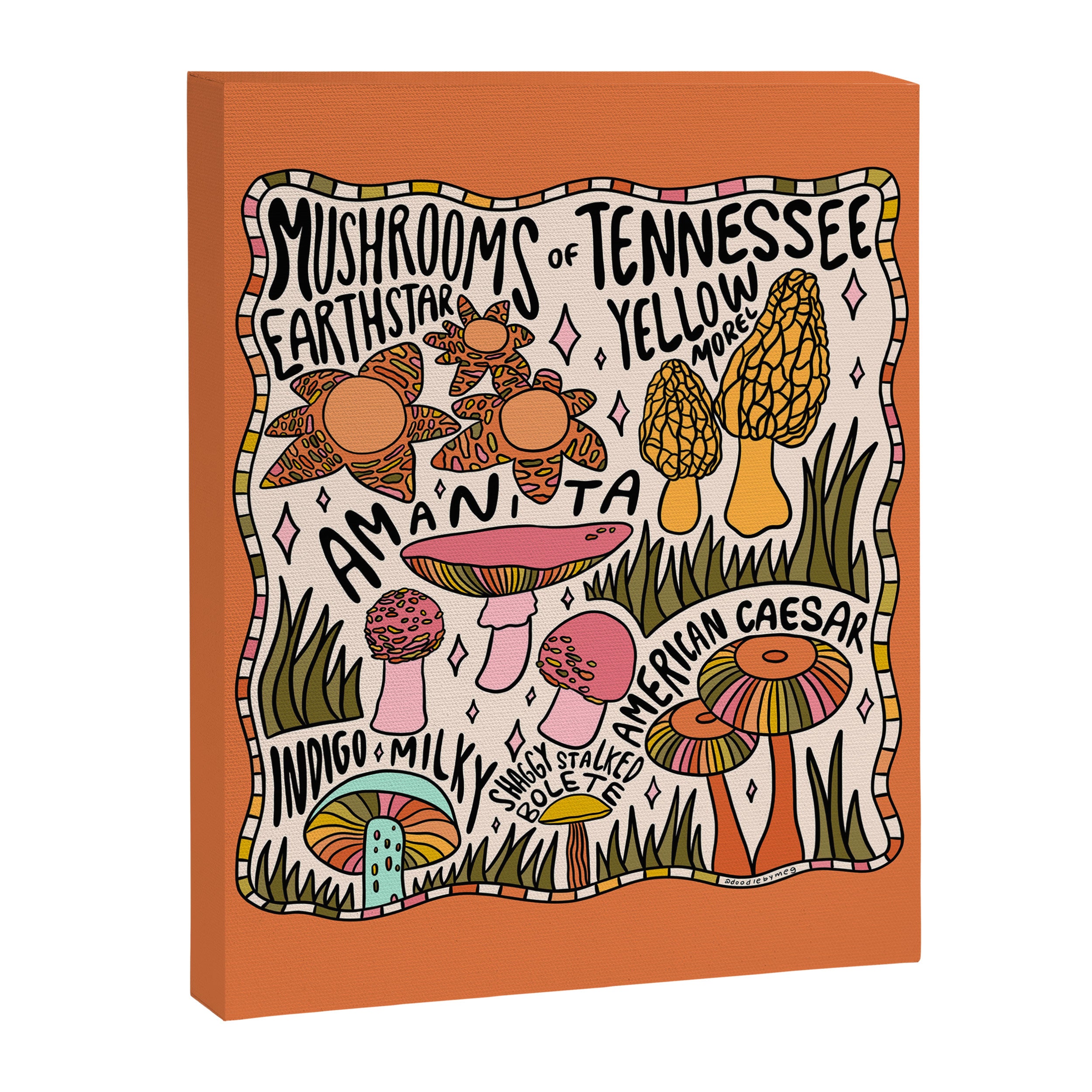 Mushrooms of Tennessee Canvas Print Gallery Image 8