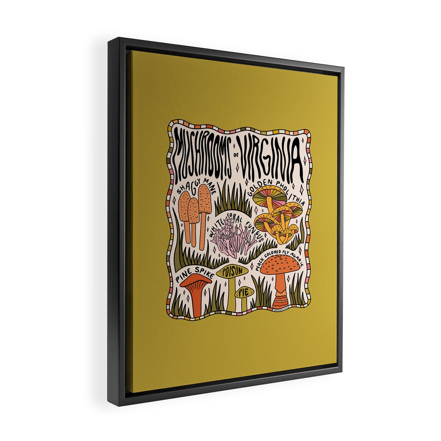 Mushrooms of Virginia Framed Canvas Print Gallery Image 2