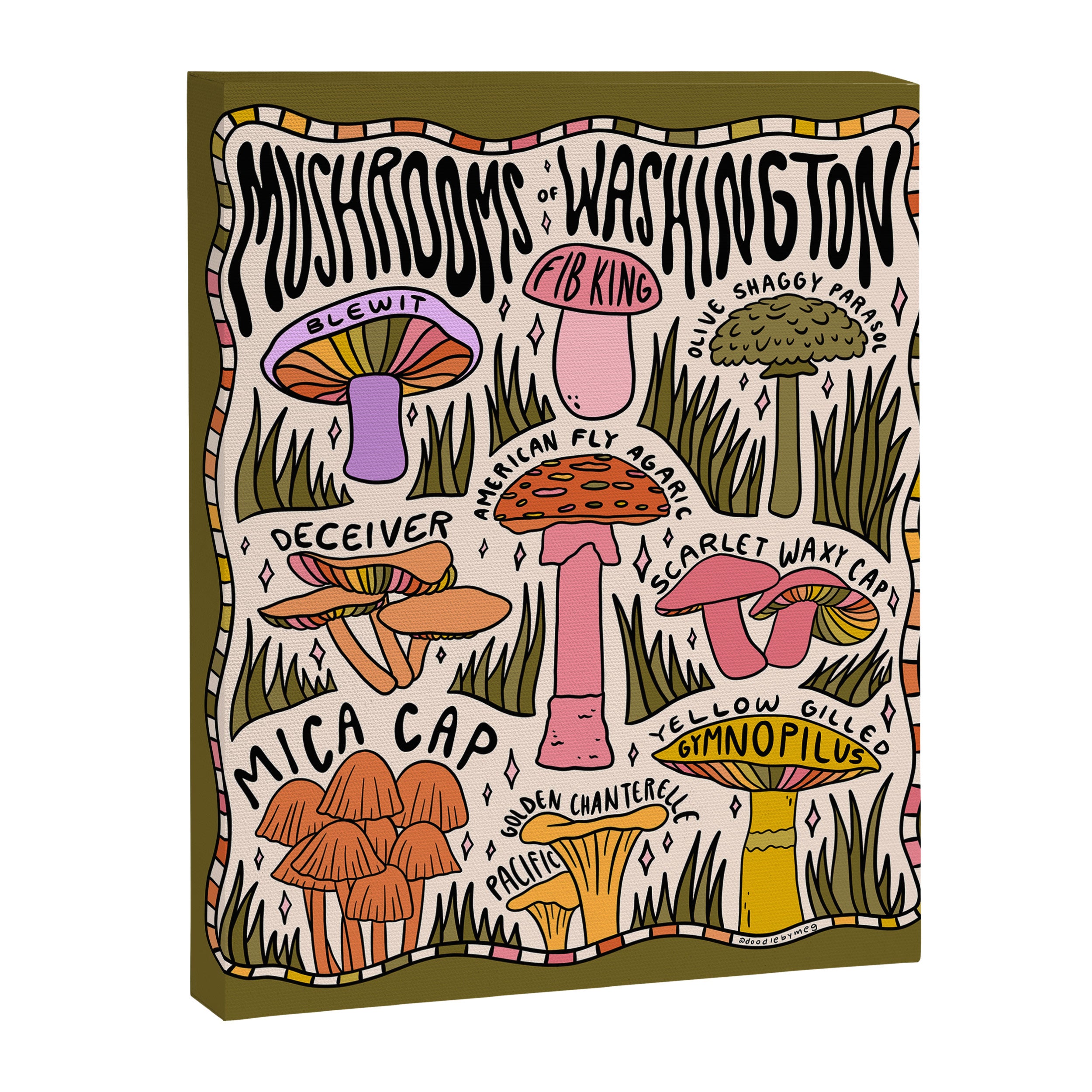 Mushrooms of Washington Canvas Print Gallery Image 6