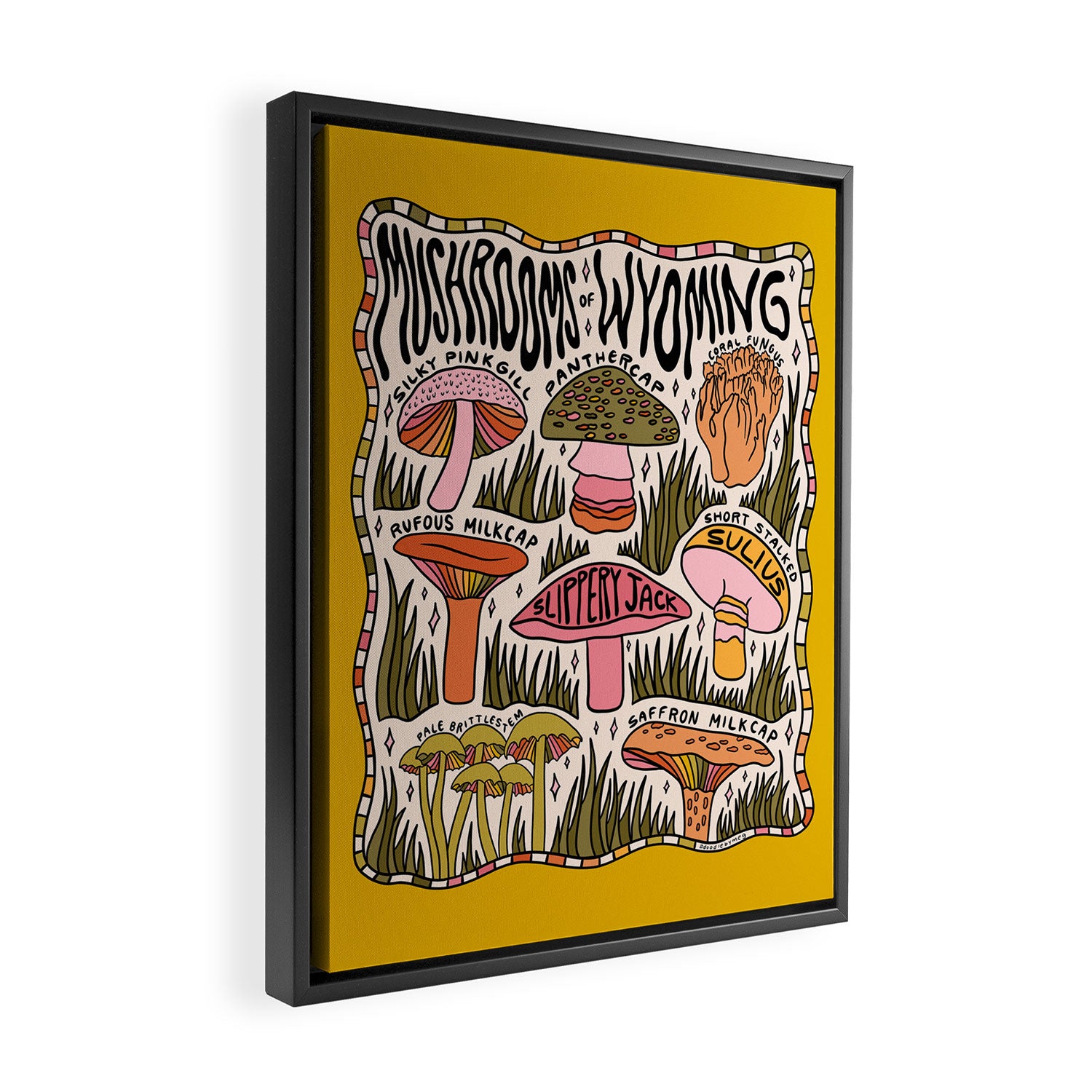 Mushrooms of Wyoming Framed Canvas Print Gallery Image 2