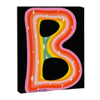 Rainbow B Canvas Print Gallery Image 8