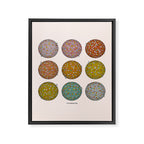 Rainbow Disco Balls Framed Canvas Print Gallery Image 8