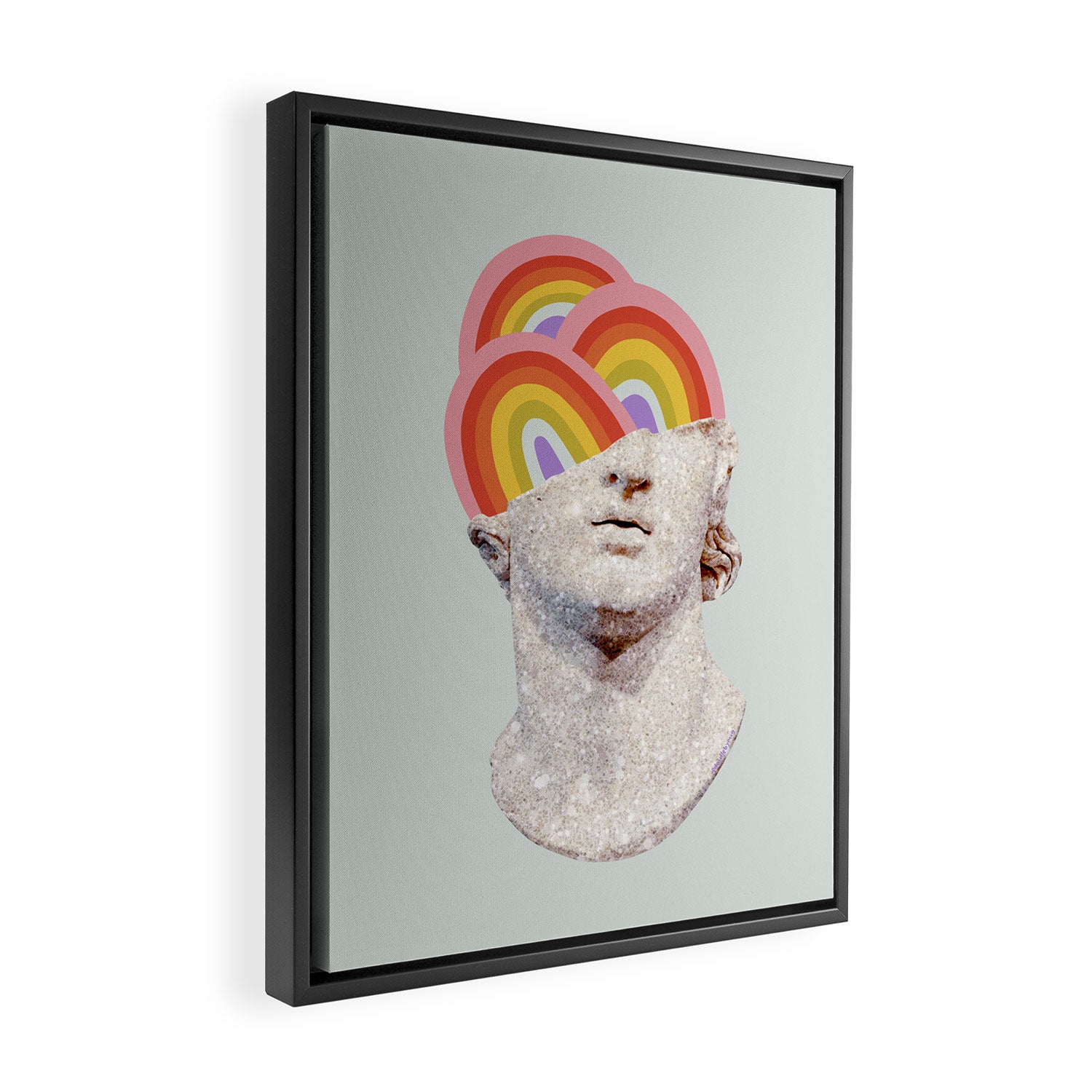 Rainbow Marble Head Framed Canvas Print Gallery Image 2