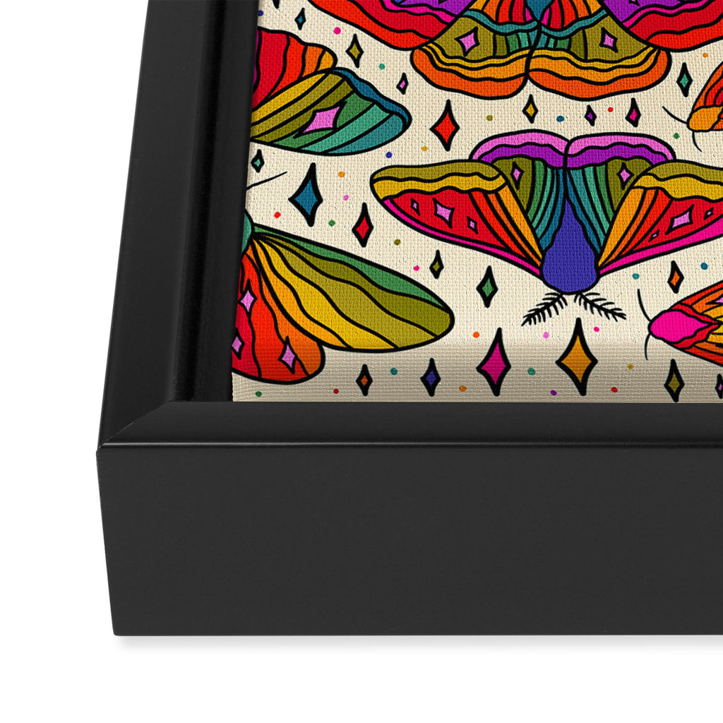 Rainbow Moth Print Framed Canvas Print Gallery Image 3