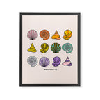 Rainbow Seashells Framed Canvas Print Gallery Image 8