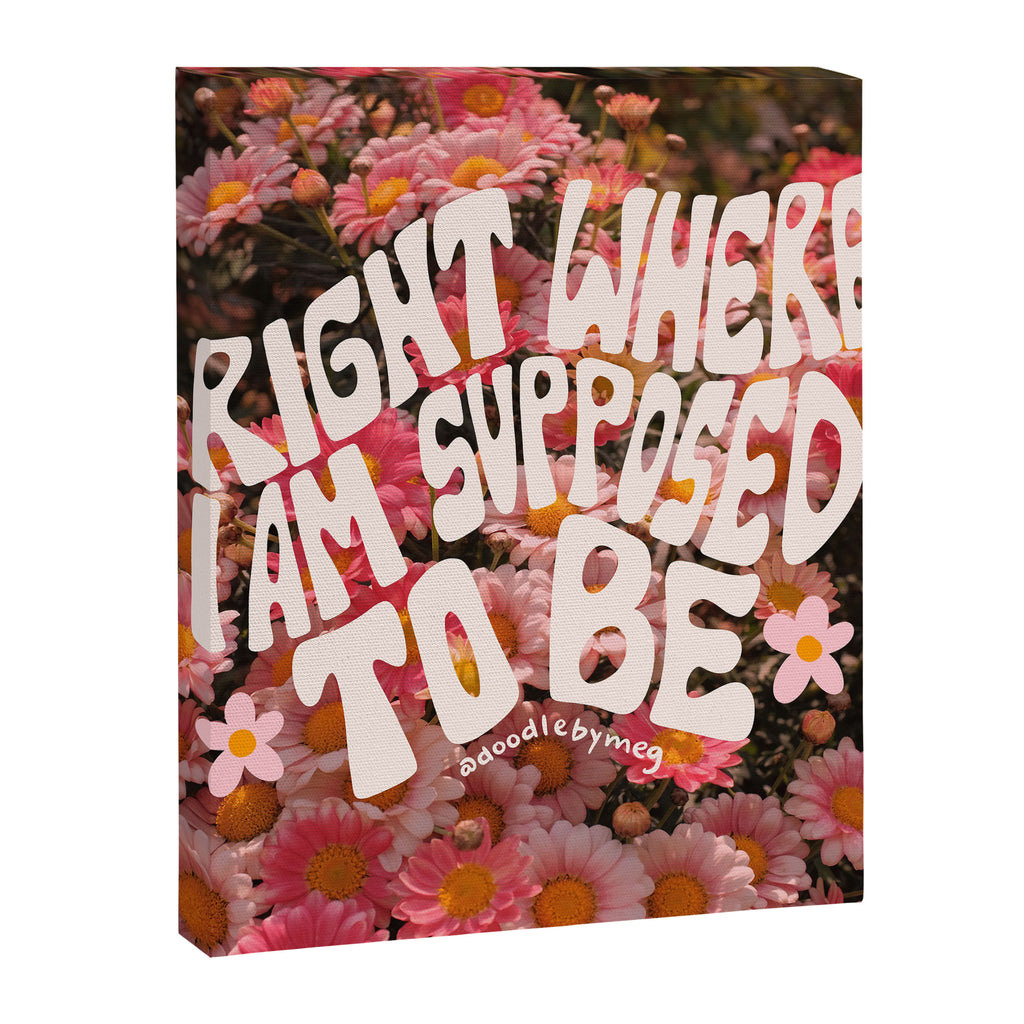 Right Where You Belong Canvas Print Gallery Image 6