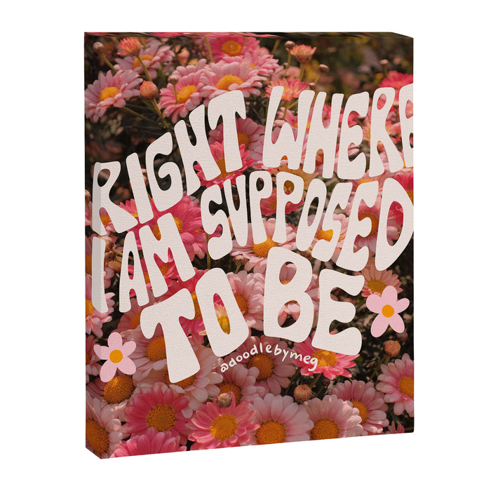 Right Where You Belong Canvas Print Gallery Image 1