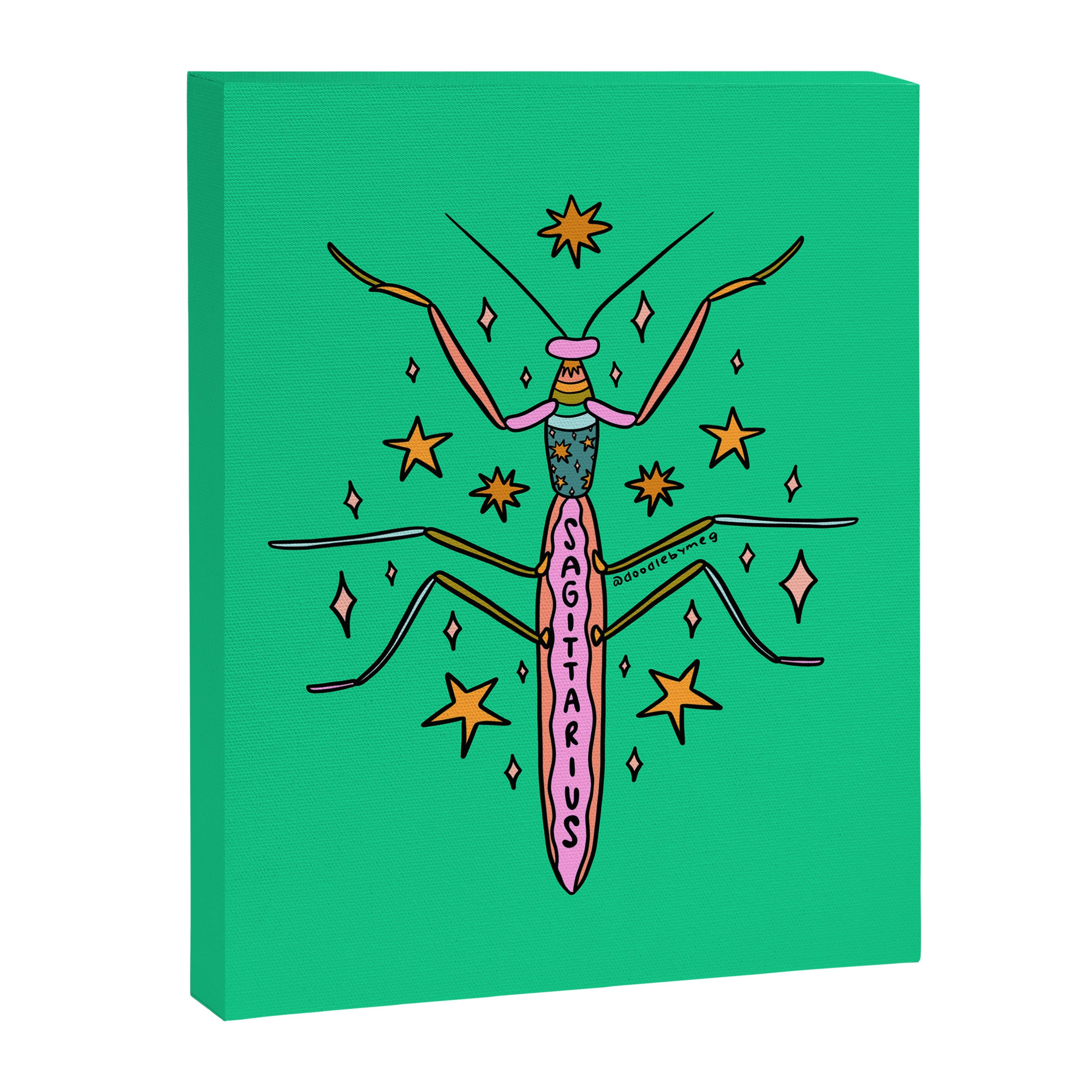 Sagittarius Praying Mantis Canvas Print Gallery Image 8