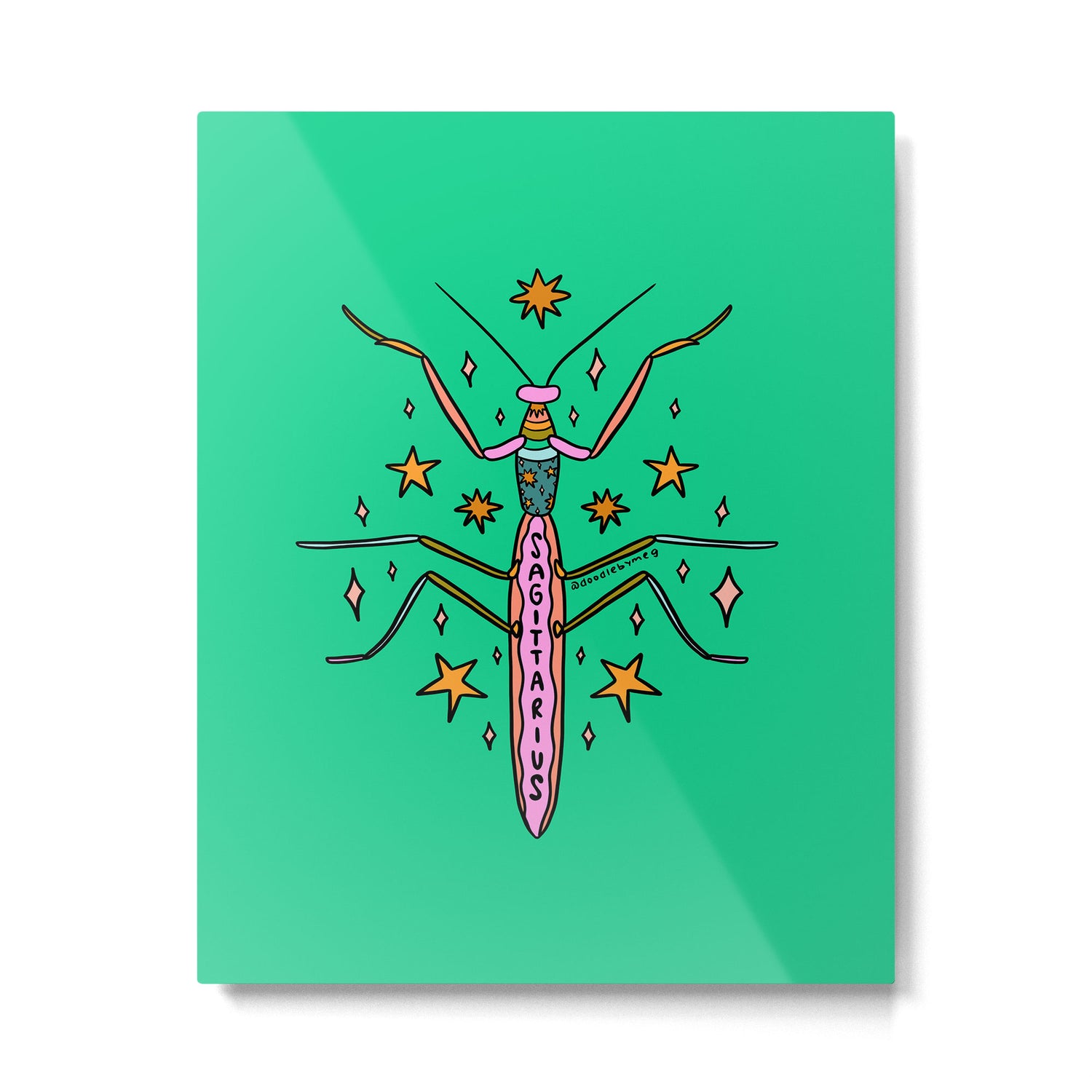Sagittarius Praying Mantis Metal Print Gallery Image 6