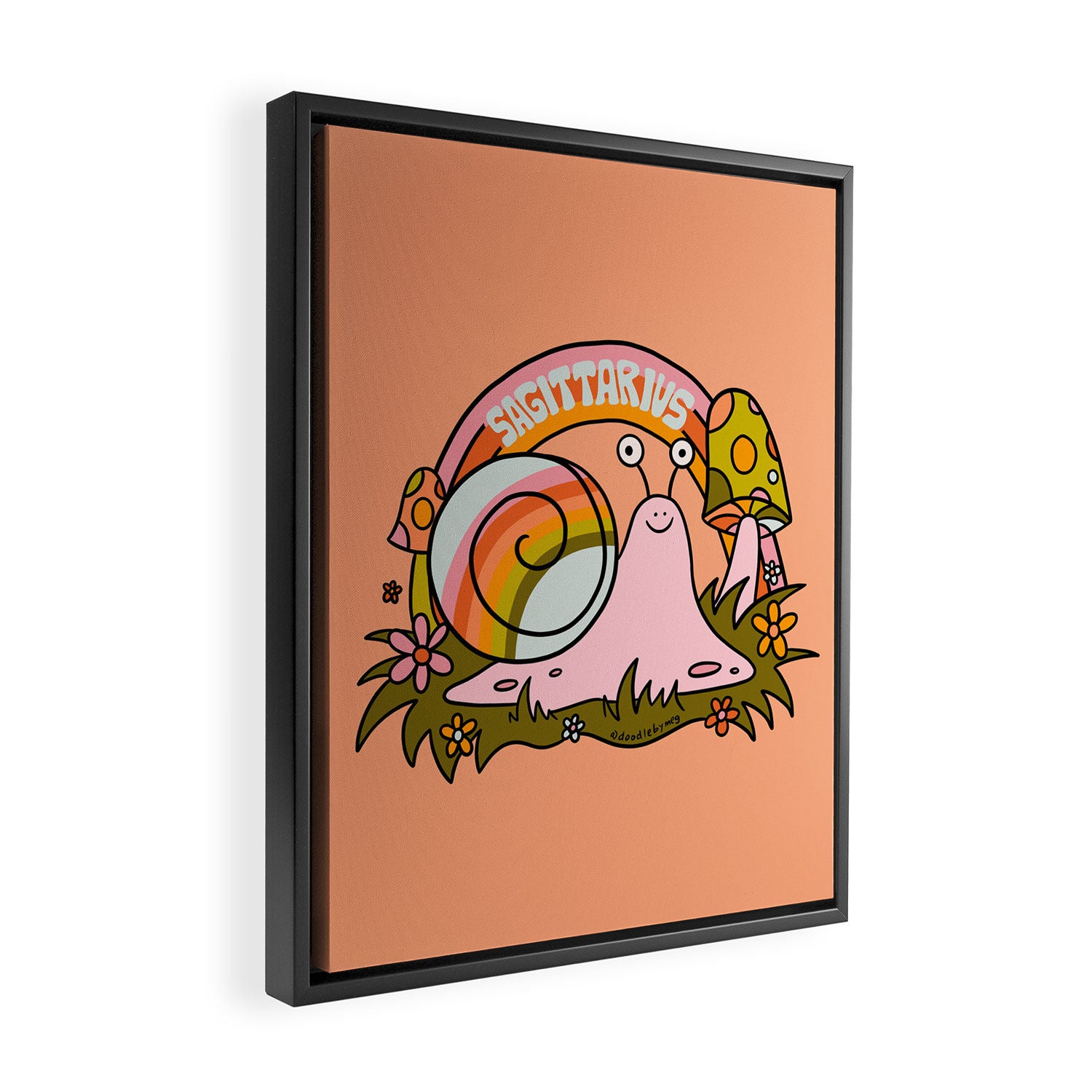 Sagittarius Snail Framed Canvas Print Gallery Image 2