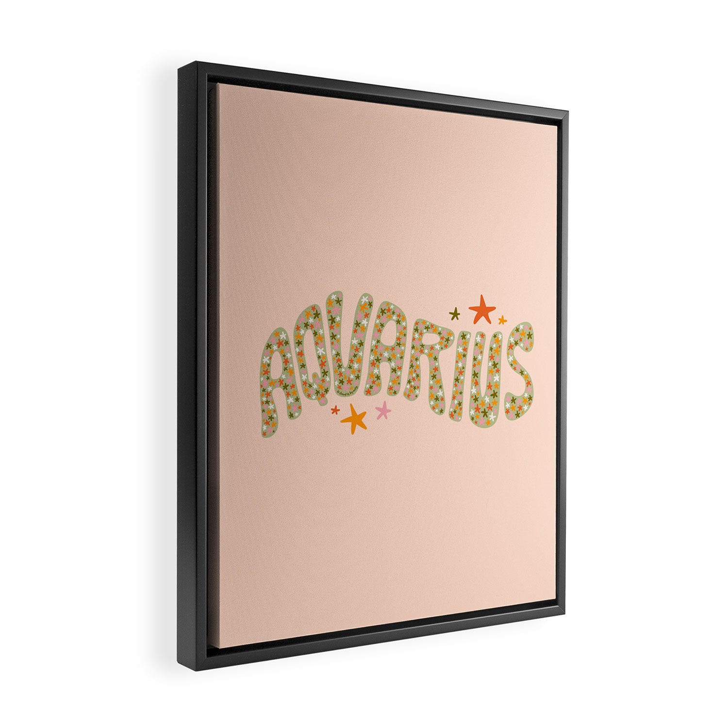 Starry Aquarius Framed Canvas Print Gallery Image 2