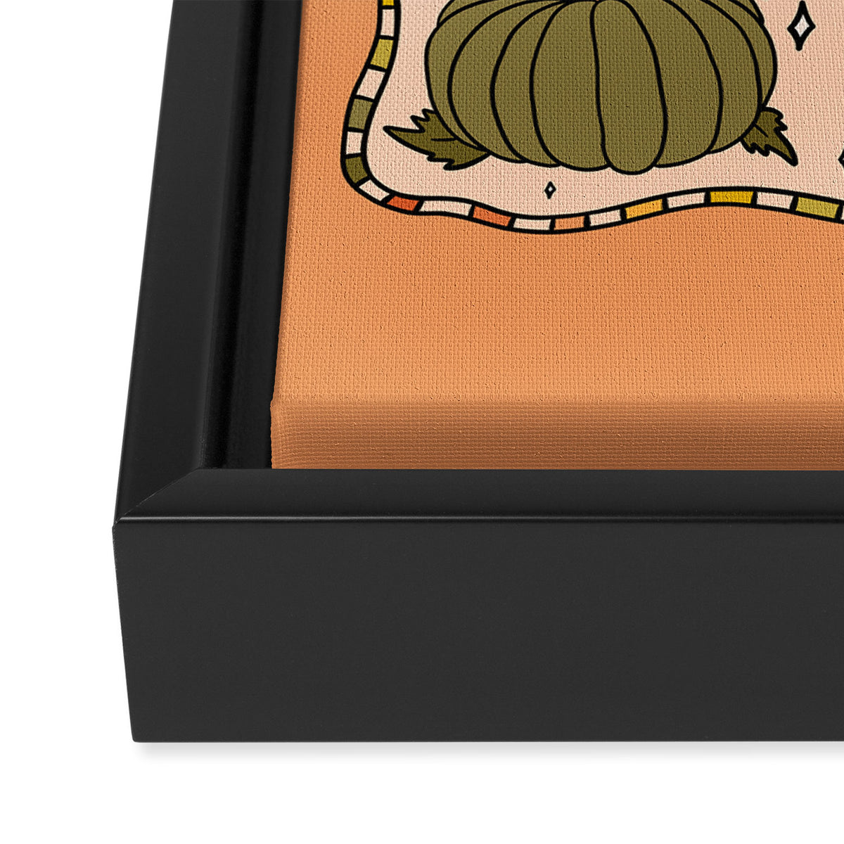 Types of Pumpkins Framed Canvas Print Gallery Image 3