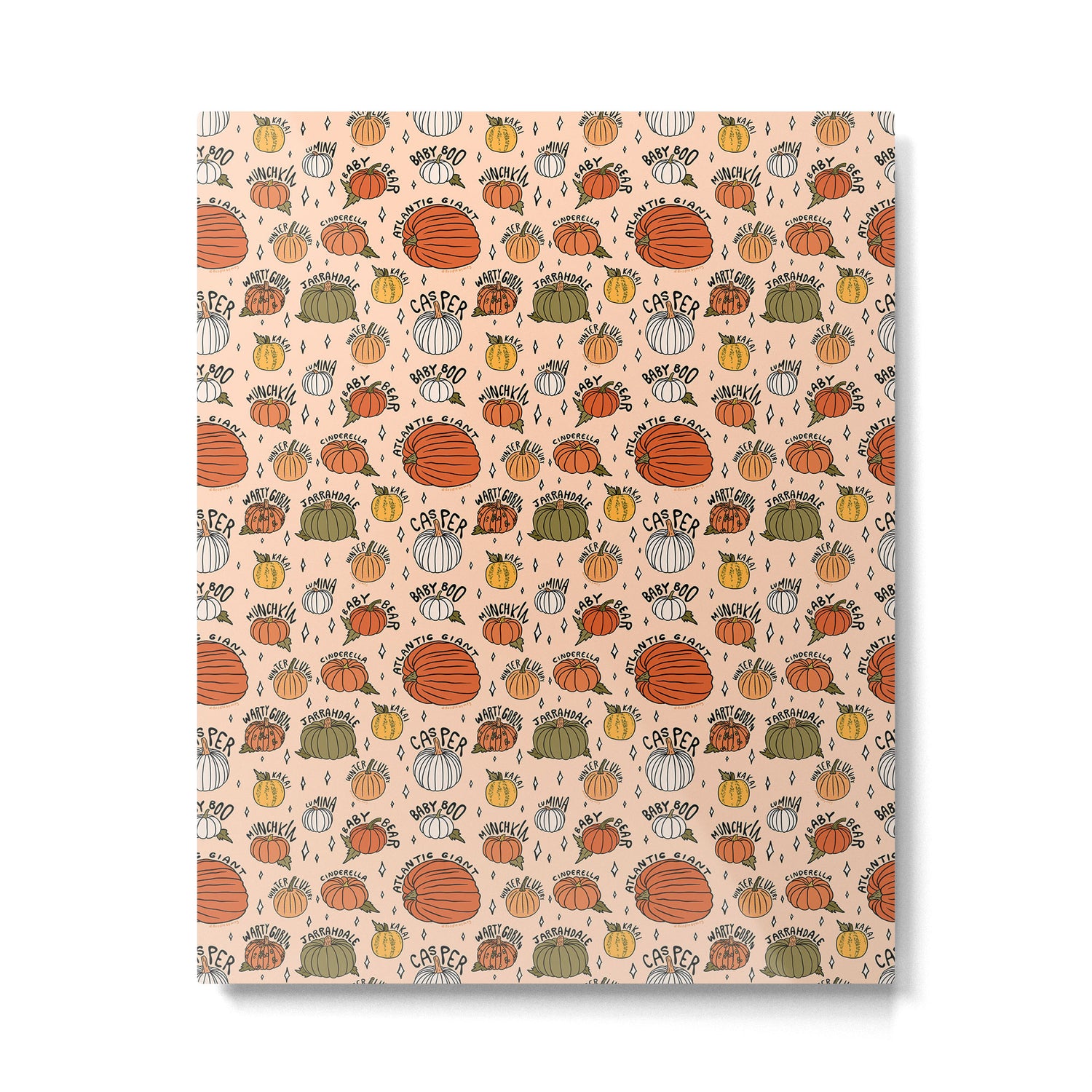 Types of Pumpkins Print Metal Print Gallery Image 6