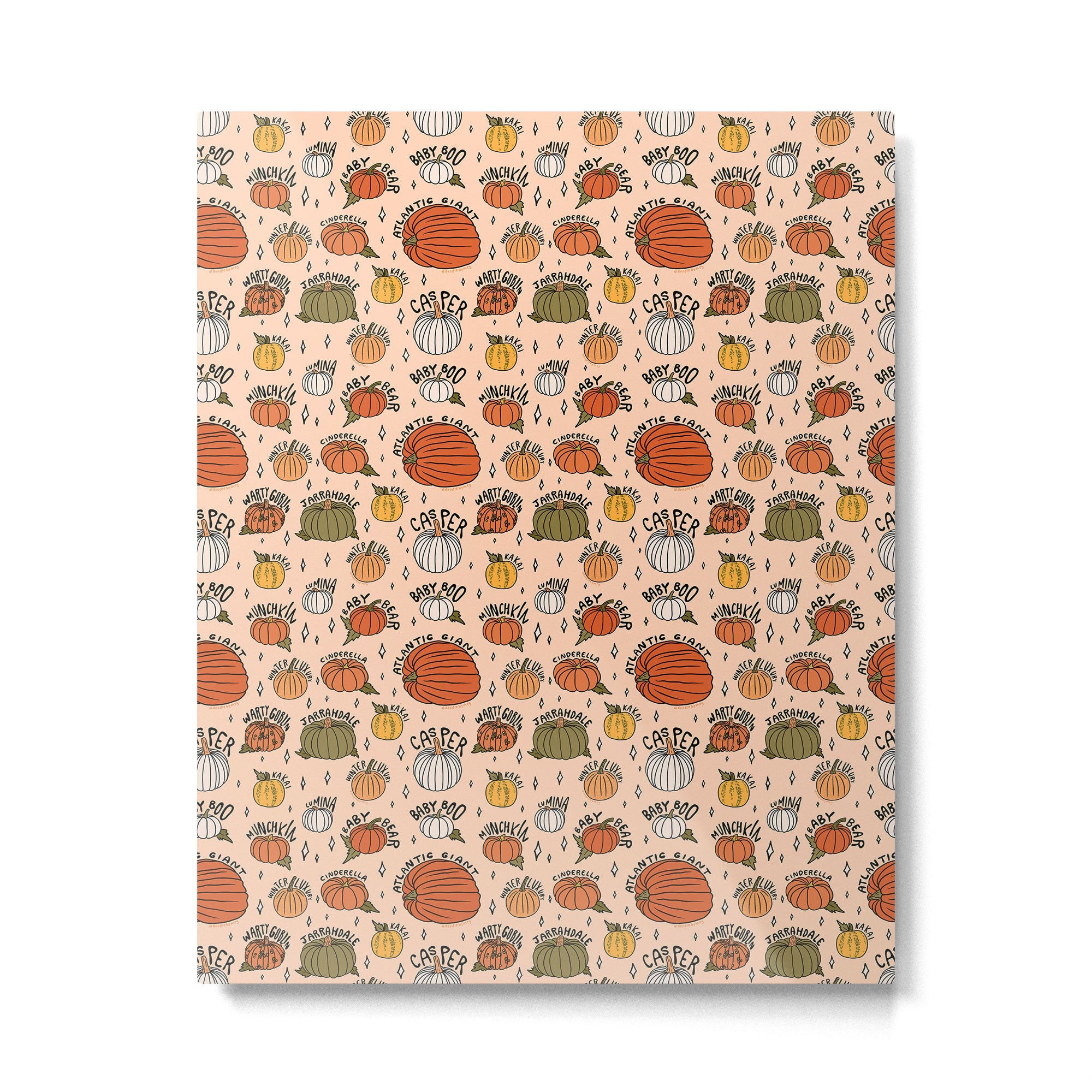 Types of Pumpkins Print Metal Print Gallery Image 6